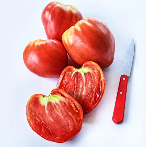 Screenshot 2026-04-28 084232.png