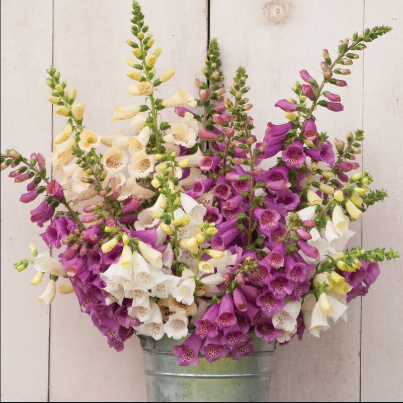 Screenshot 2026-04-28 090932.png