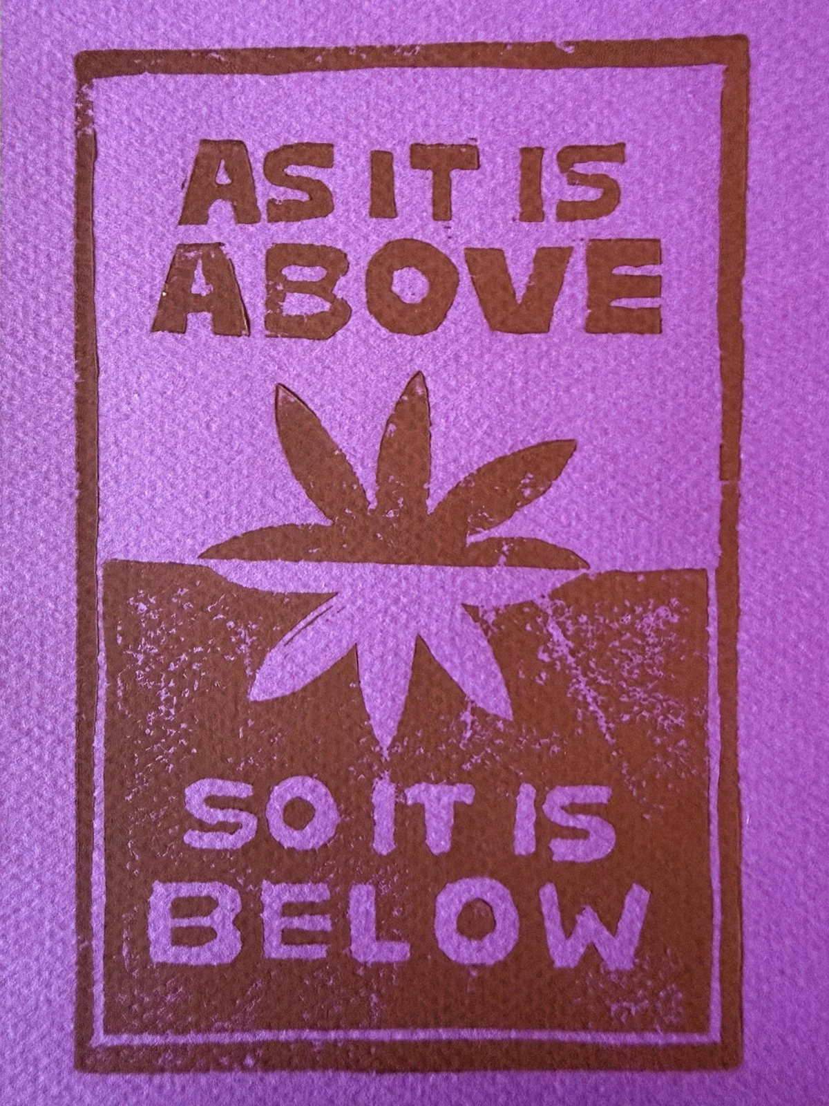 abobebelow2.jpg