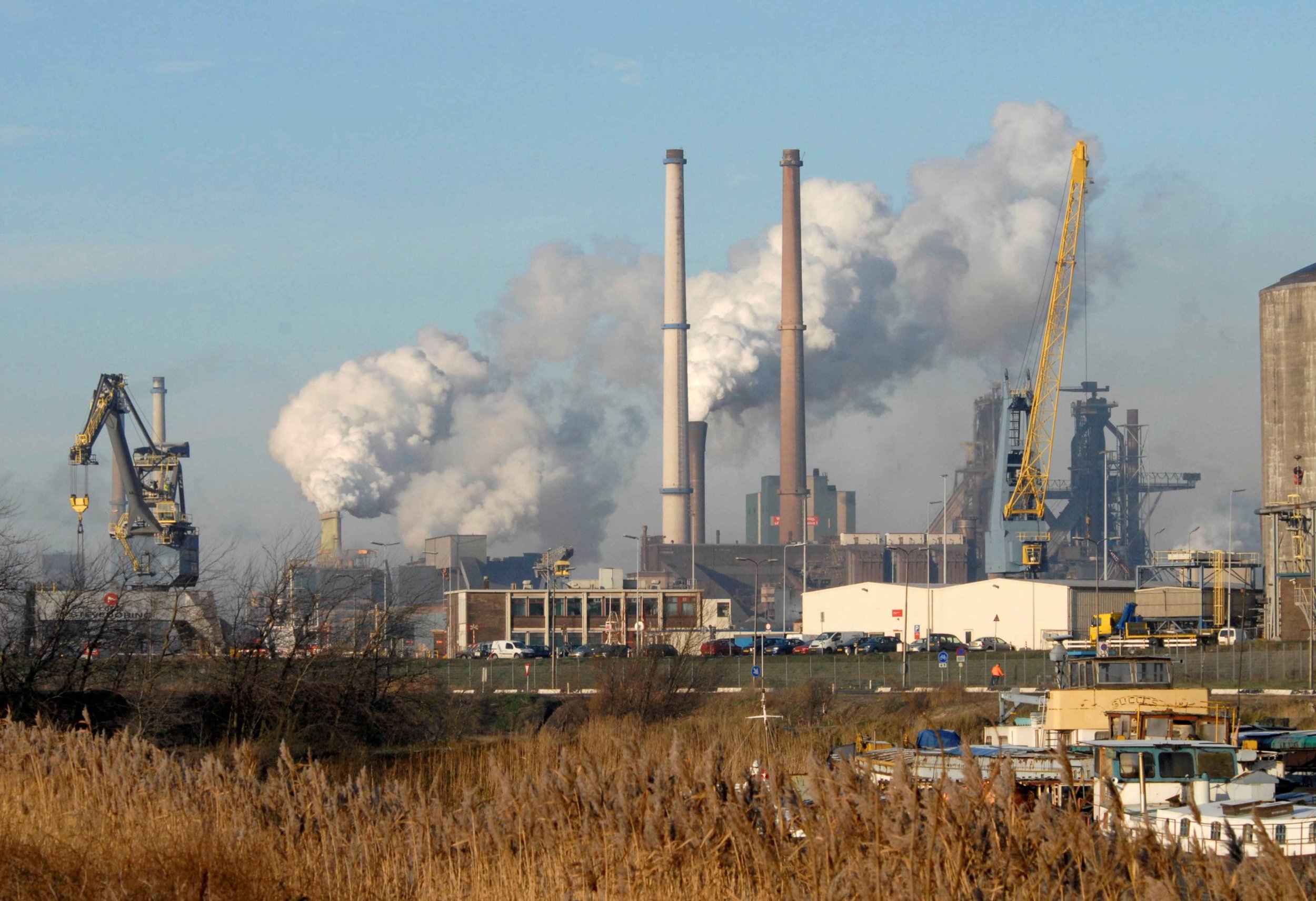 Sociaaldemocratie herijken: samen rooien