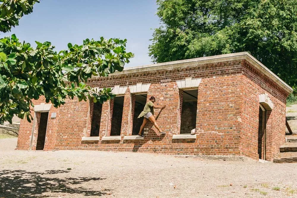 toni-ann-the-swiss-freis (4).webp