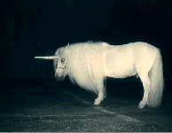 Music Monday // 012 —Chasing Unicorns