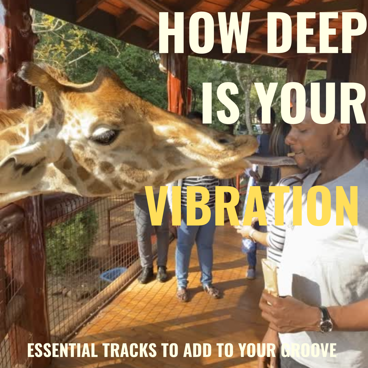 How Deep Is Your Vibration