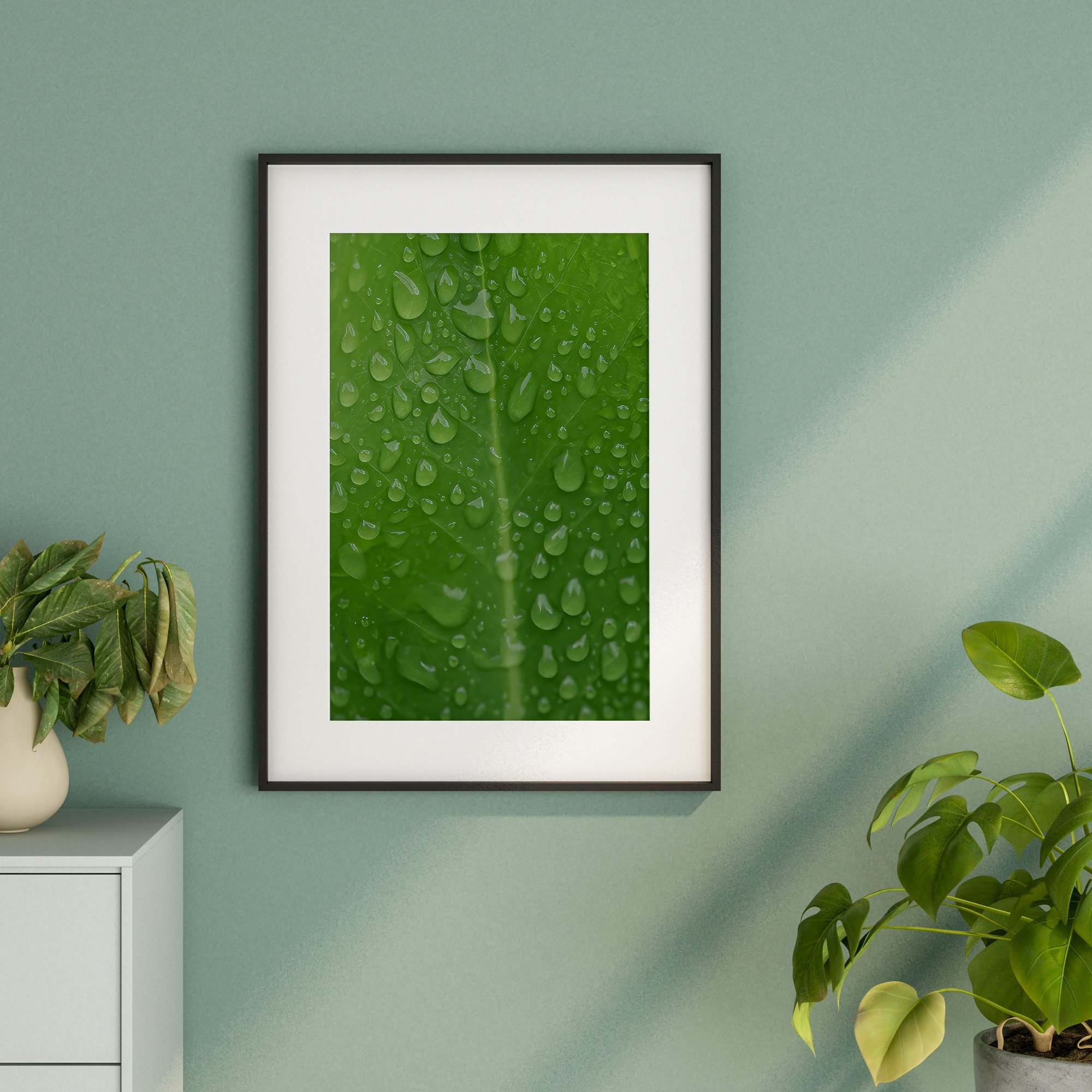 https://i.etsystatic.com/40424084/r/il/b3323f/4983242210/il_fullxfull.4983242210_349f.jpg