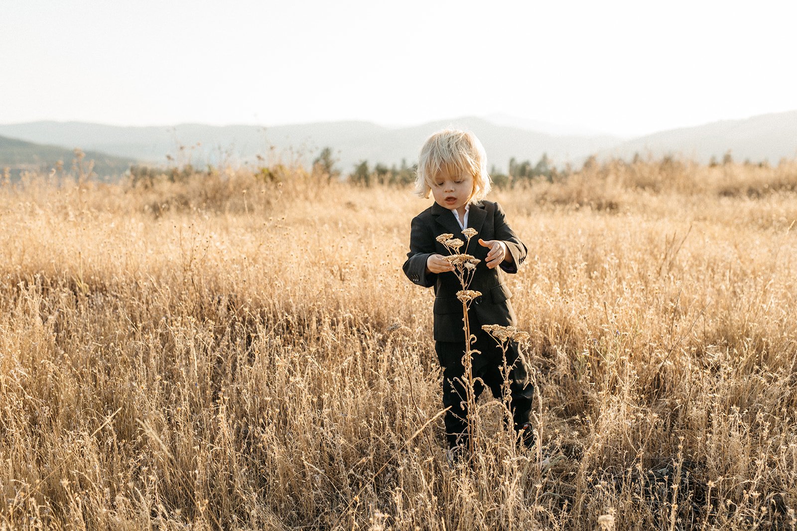 Small Elopement