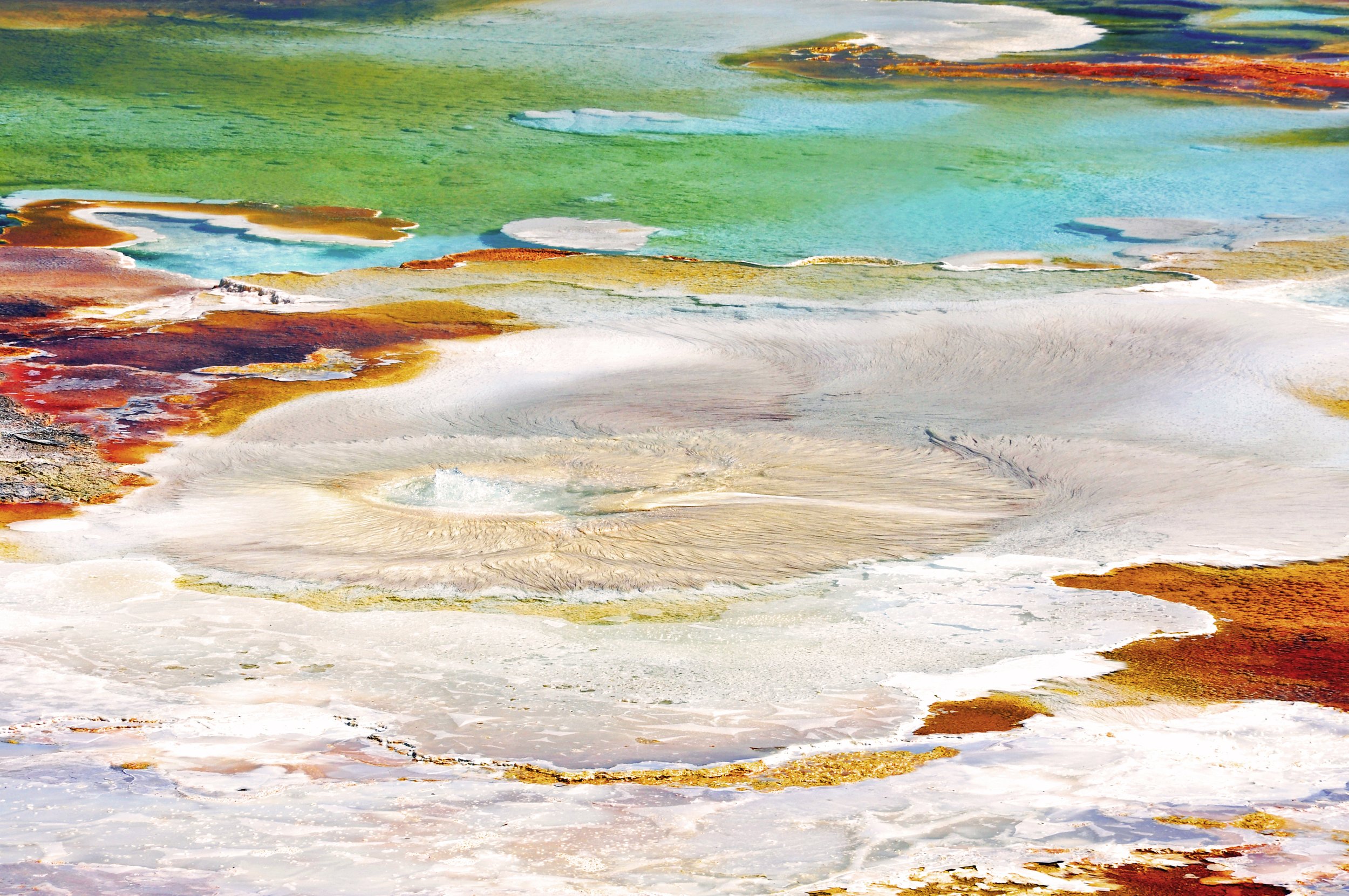 Yellowstone National Park, USA. 2008.