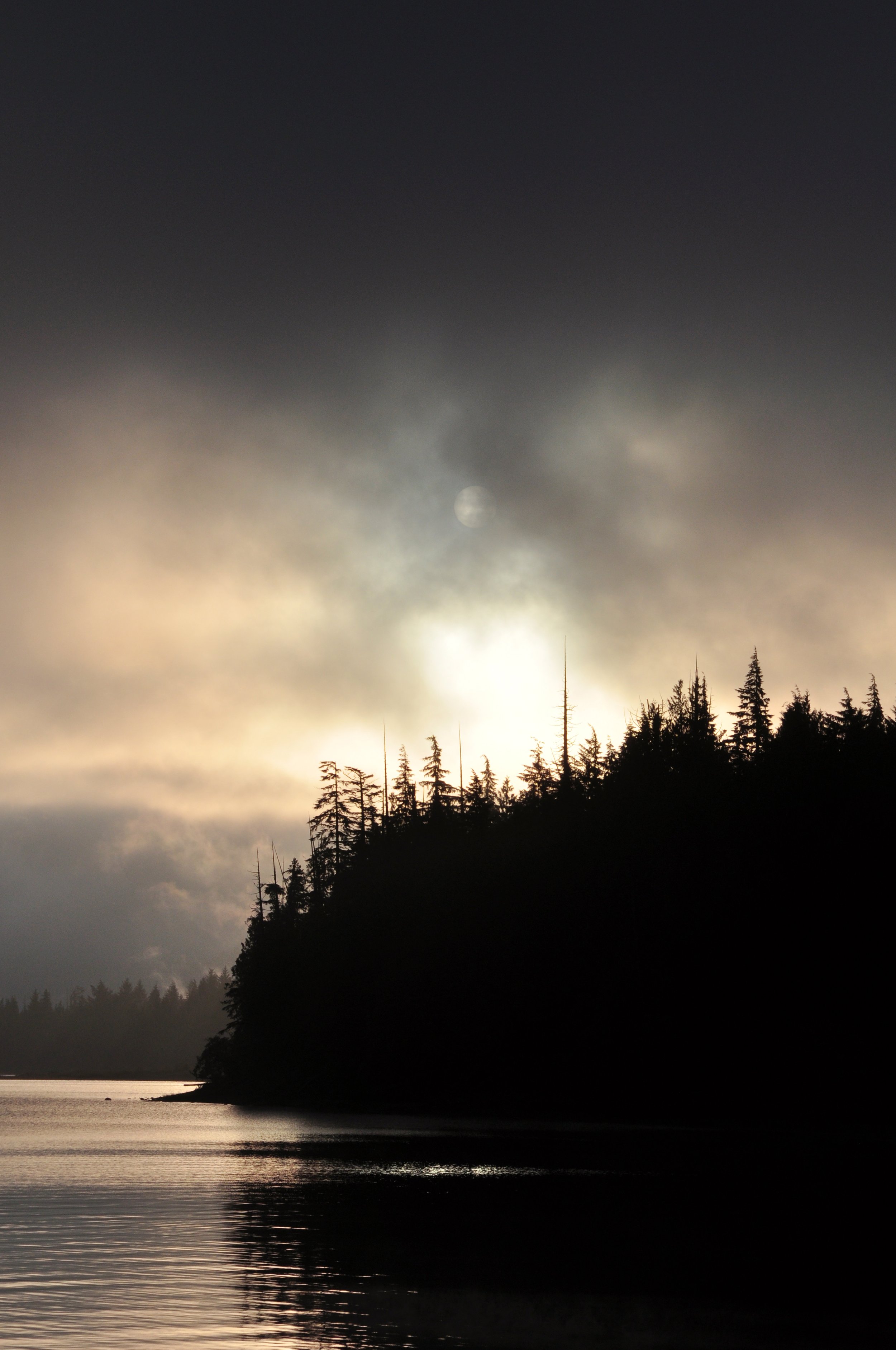 Tofino, Canada. 2020.