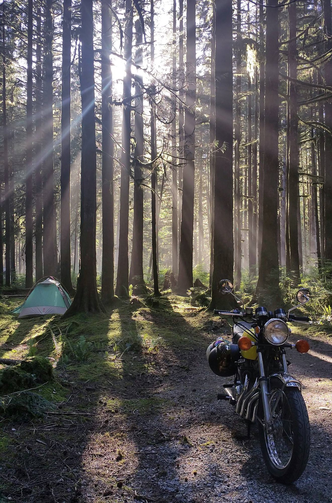 Golden Ears Provincial Park, Canada. 2017.