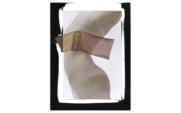 Image_11-8-23_at_12.44_PM-removebg-preview.png