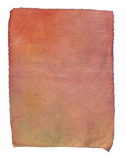 11082023_017-removebg-preview.png