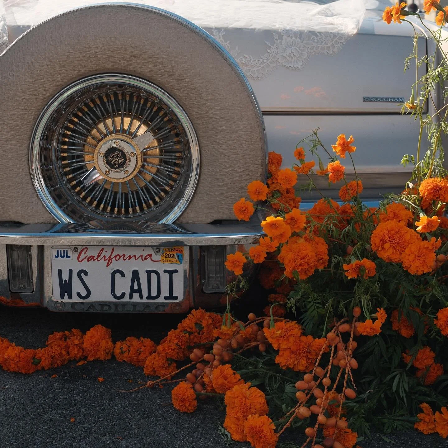 @midcitymercado thank you for letting us be a part of the 3rd annual DDLM festival 🧡 we were honored to be back a second year! 

this market was beautifully shot by omkar 📸

it was only fitting to end the night with the dodgers winning world series