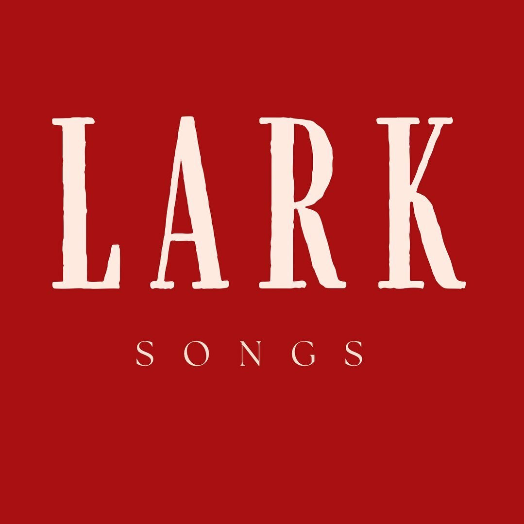 We&rsquo;ve been unofficially launching the Lark experience through word of mouth and it&rsquo;s been amazing seeing the joy and love it&rsquo;s been bringing to peoples lives. It has made us very passionate about entering this next phase of Lark son