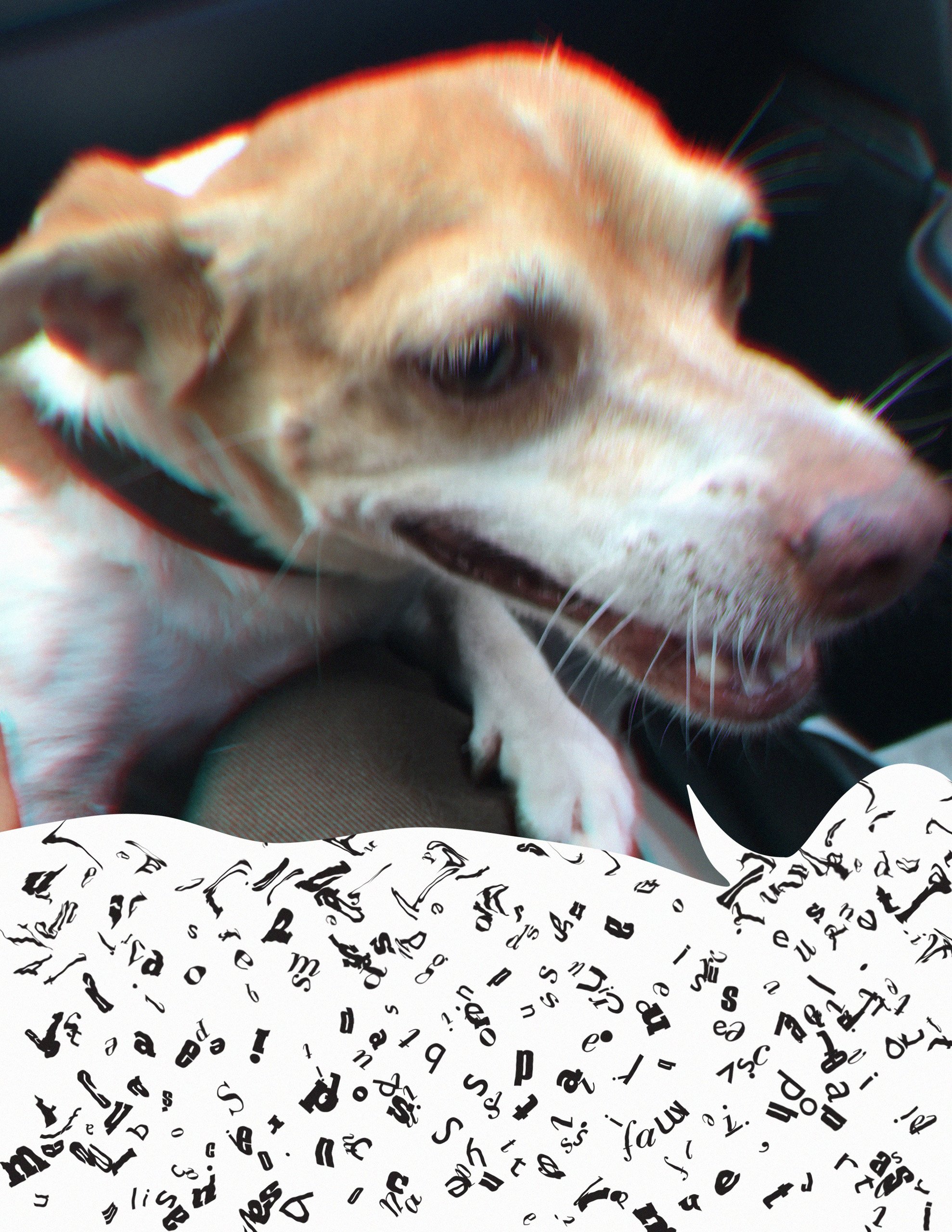 unzine_122618.jpg