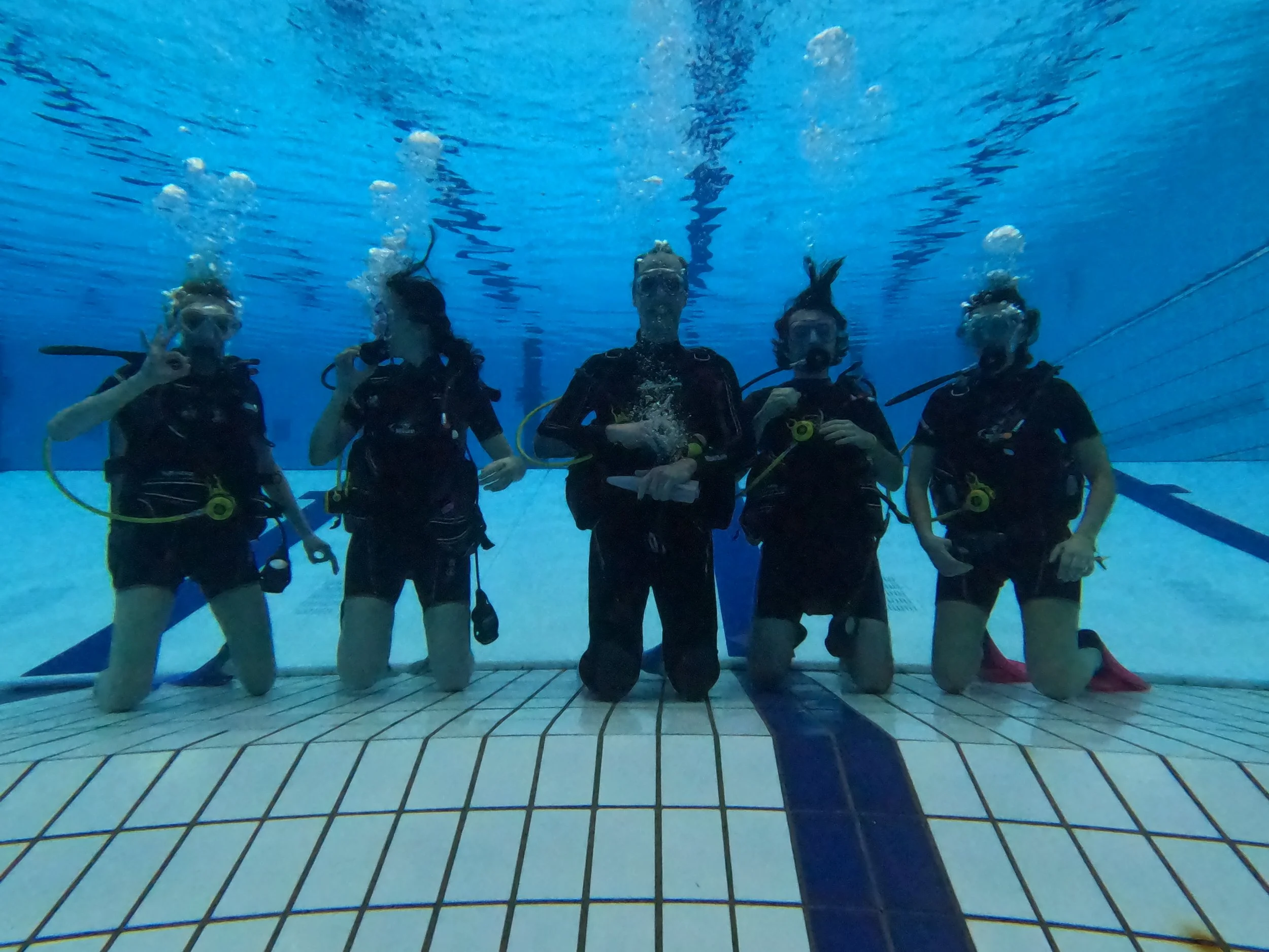 MALDALAB GOES UNDERWATER: SCUBA TEAM EXPERIENCE