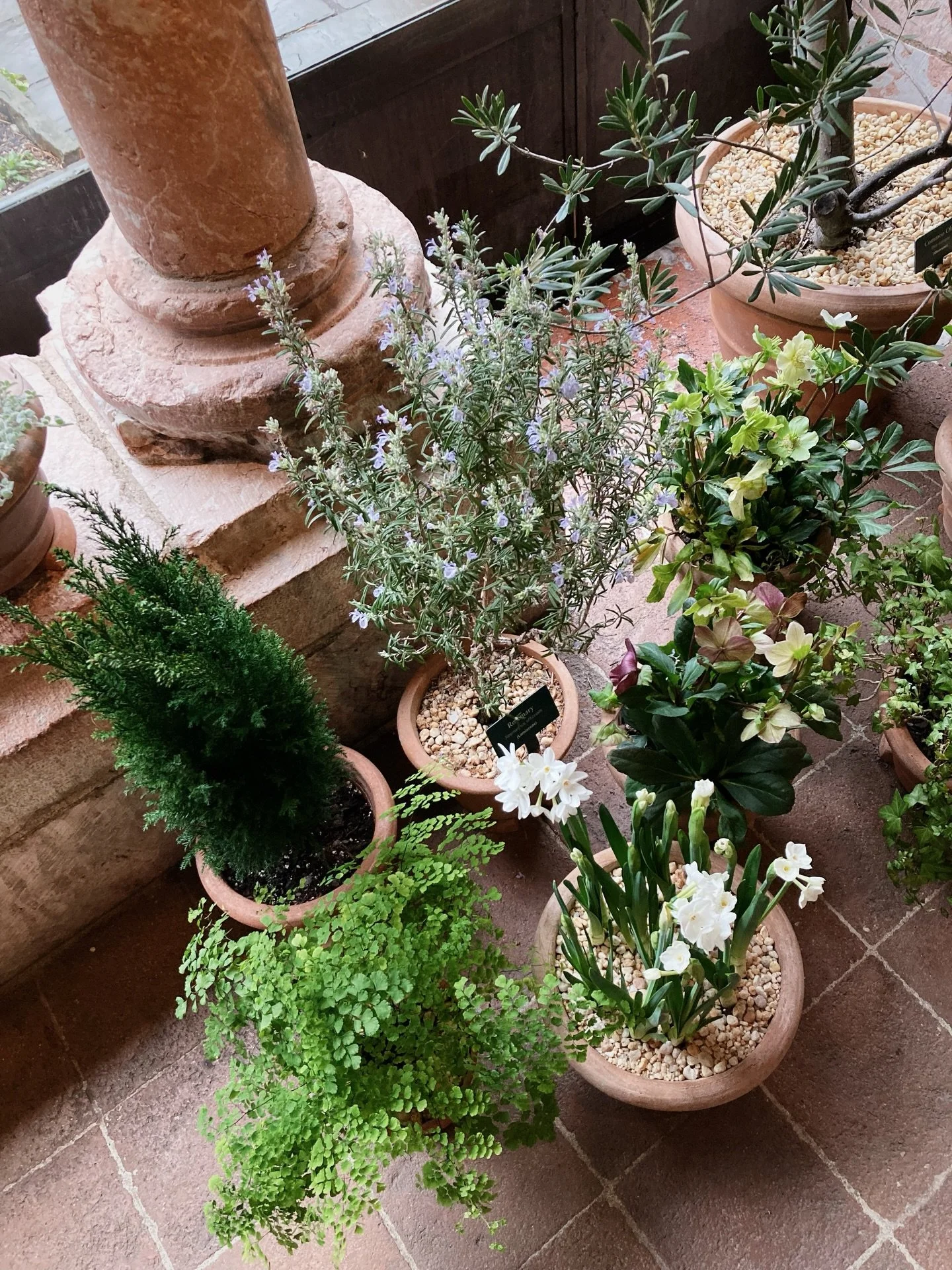 a beloved midwinter ritual 🕯️