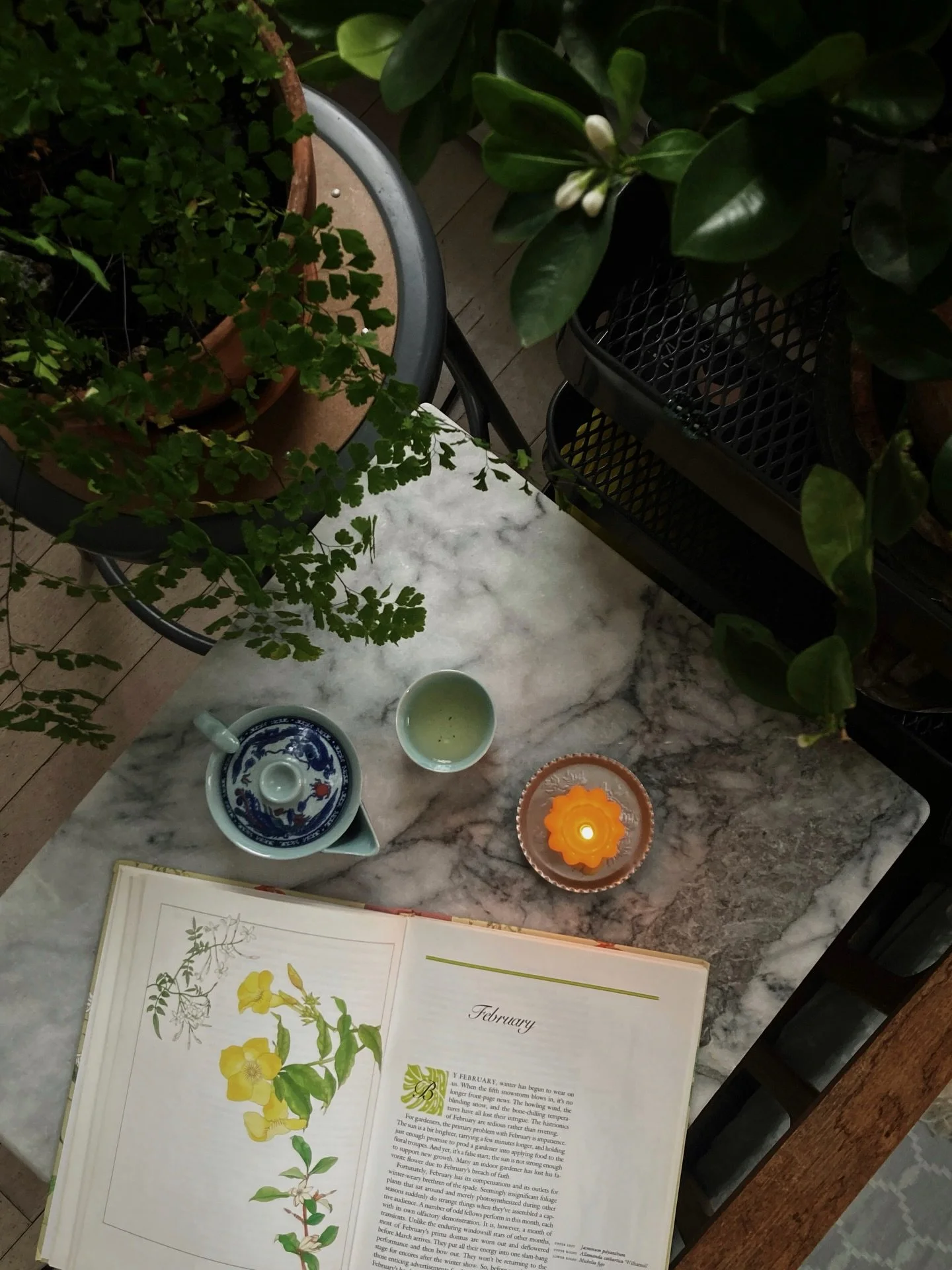 hope you can find a quiet moment today with a cup of tea, candlelight and a good book 🕯️