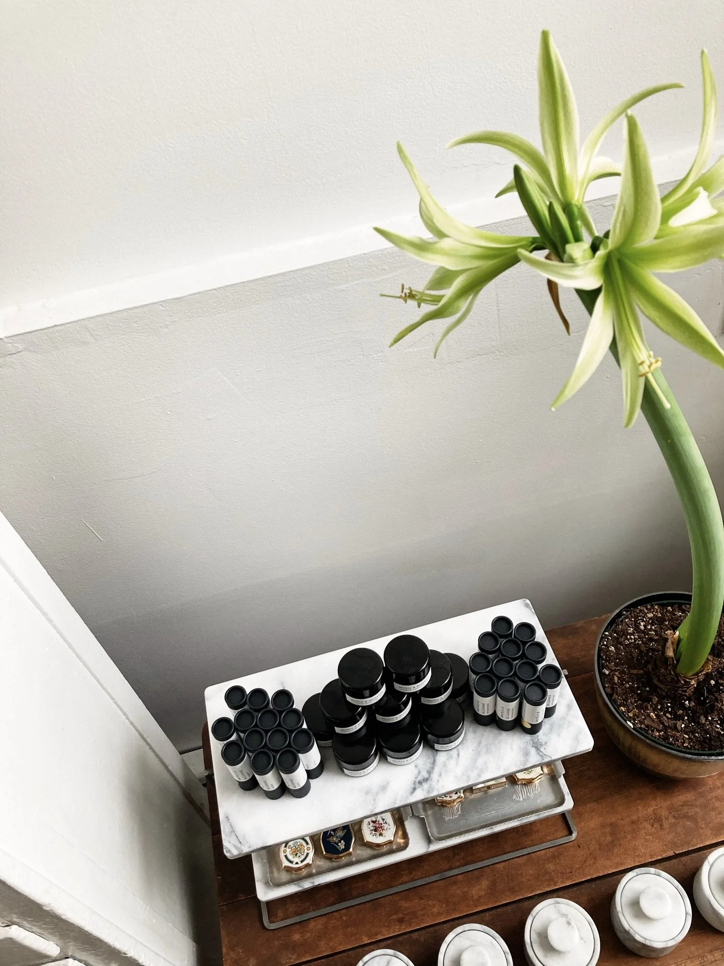 sending a lovely collection of nourishing treats off to the wonderful @cedarandhyde in Boulder today! 

slow beauty &bull; botanical skincare &bull; apothecary &bull; natural skincare &bull; green beauty &bull; organic skincare &bull; plant magic