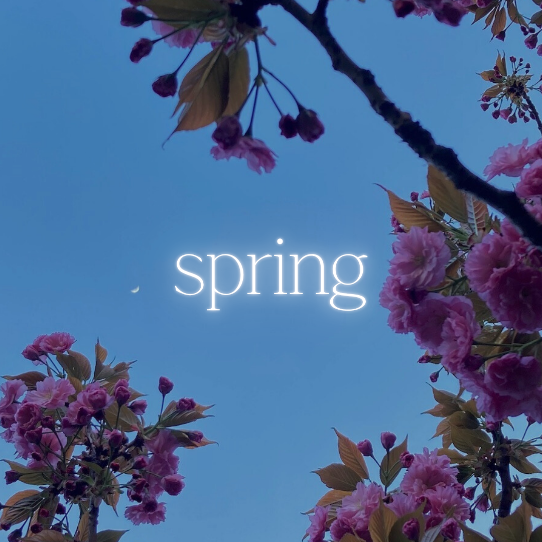 marble & milkweed spring playlist square.png