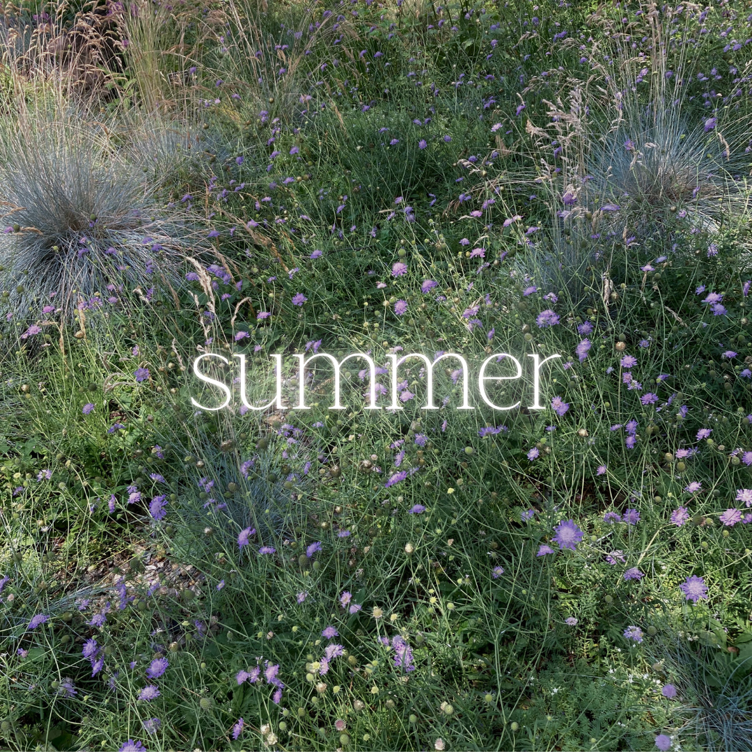 marble & milkweed summer playlist square.png