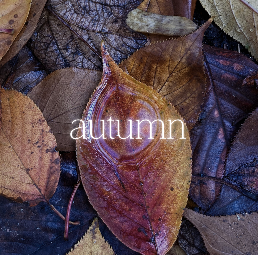 marble & milkweed autumn playlist square.png