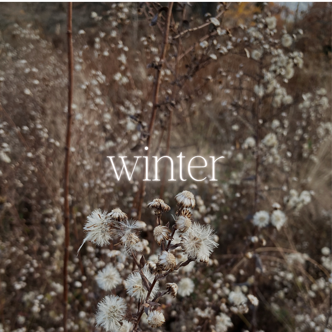 marble & milkweed winter playlist square.png