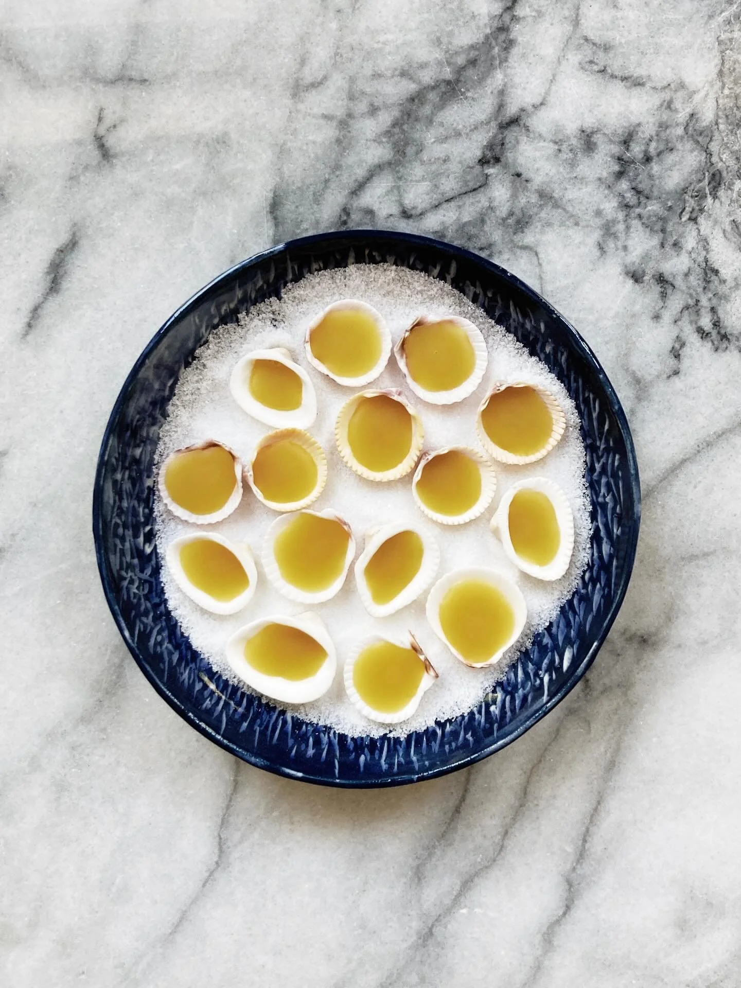 marble & milkweed | moon snail botanical perfume balm in shells summer 2025.jpg