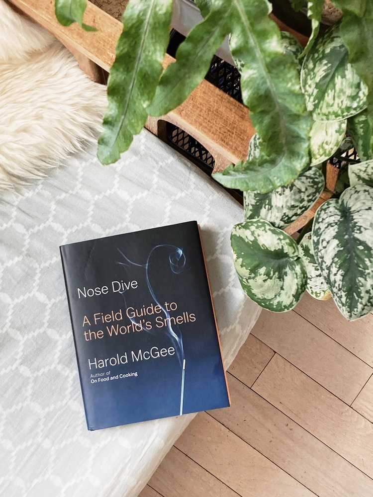 Book titled 'Nose Dive: A Field Guide to the World's Smells' by Harold McGee on a patterned surface, next to green plants.