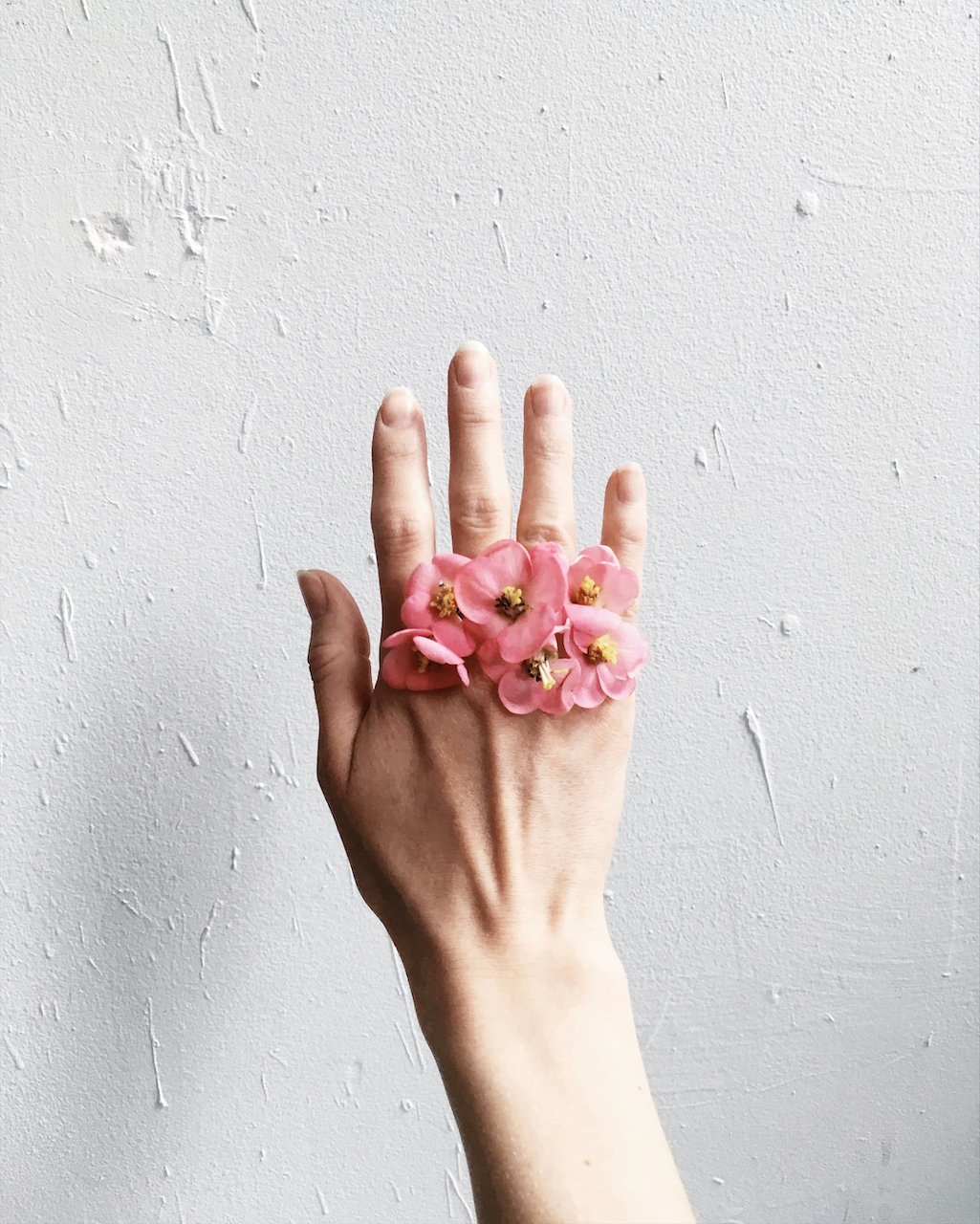 A hand against a textured white wall with pink flowers held between the fingers.