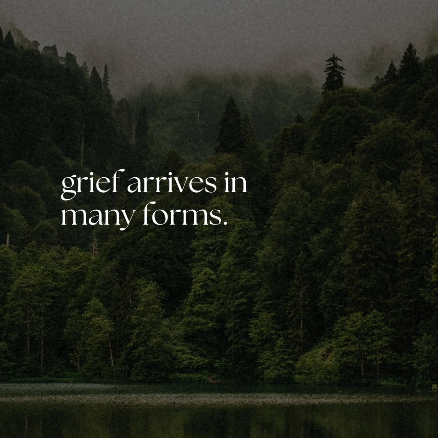 We hold a narrow definition of grief in this culture.

It belongs, we have decided, to death. To funerals and condolence cards and the prescribed period of mourning after a loss the world recognizes.

But grief arrives in so many other forms.

The es