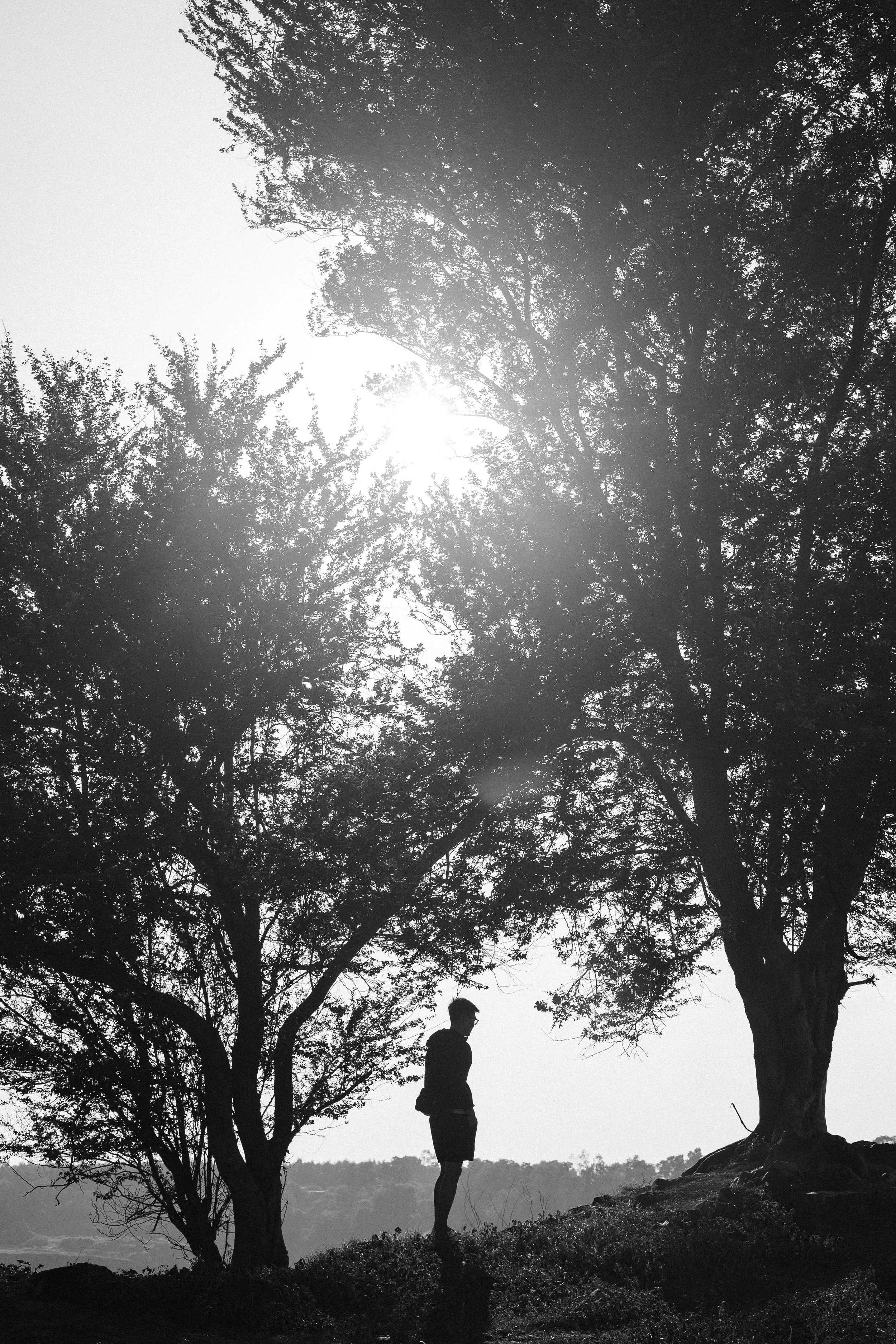 Is grief counselling covered by insurance in BC? Adventuring Loss, grief counselling in Vancouver, shares how insurance works for mental health coverage.