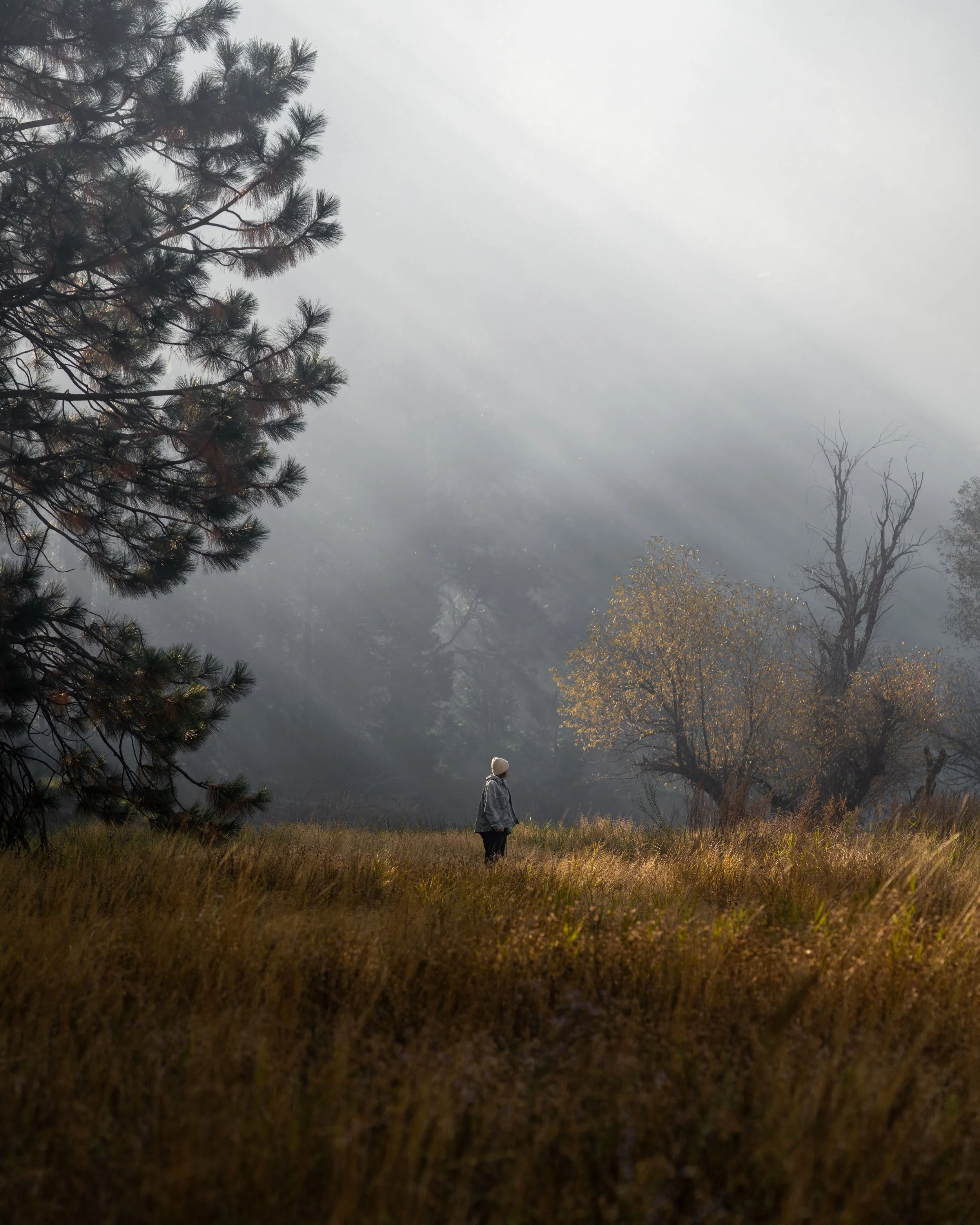 What to expect from grief counselling at Adventuring Loss