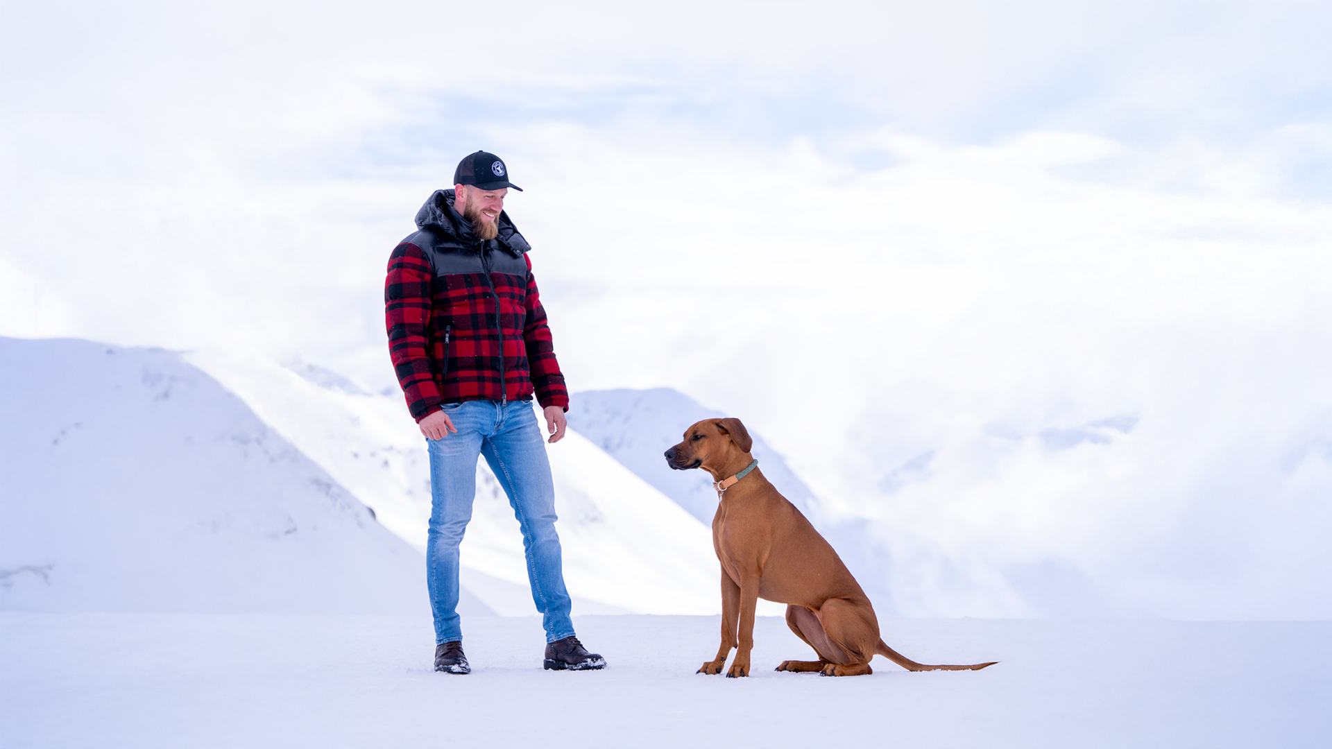 The mindset in dog training