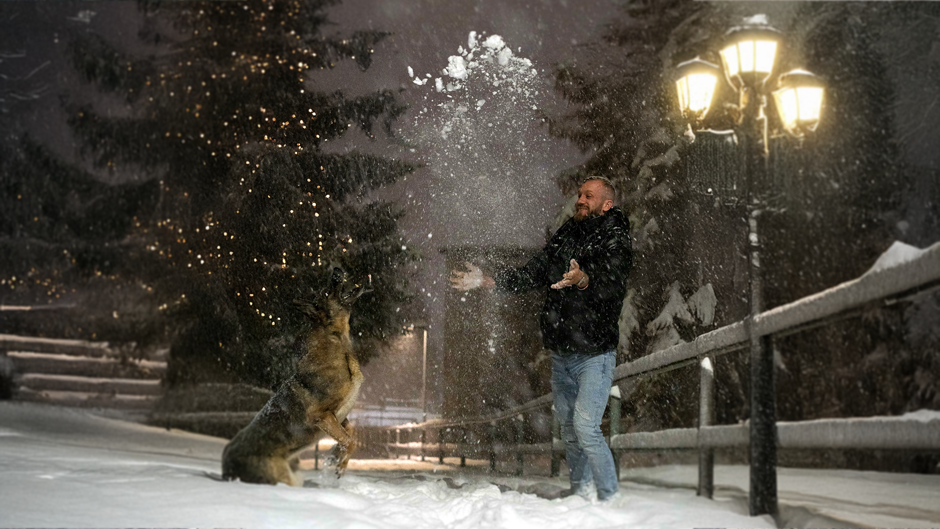 Christmas - an invitation to peace, gratitude and your dog