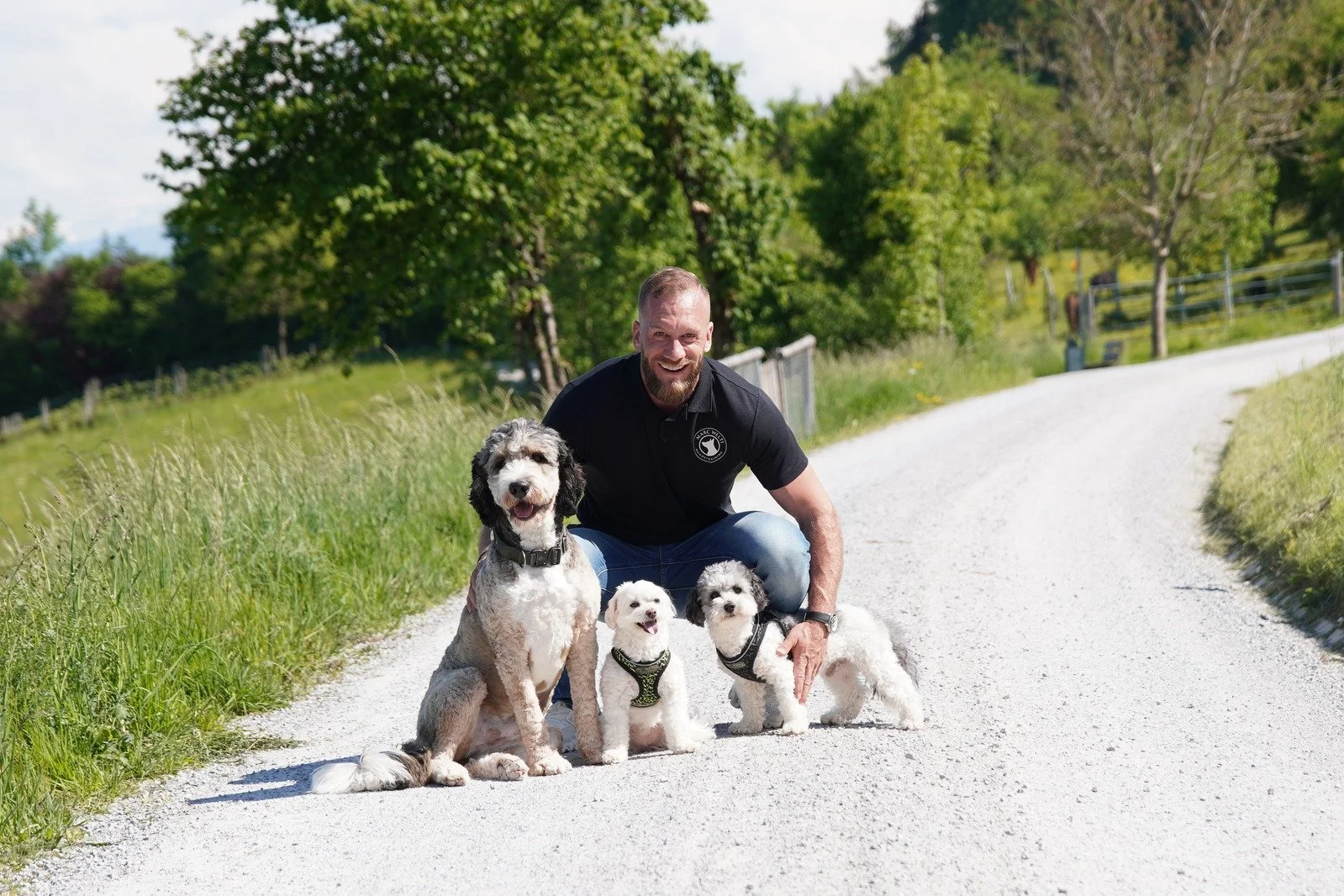 Warum sich Klarheit im Hundetraining oft falsch anfühlt