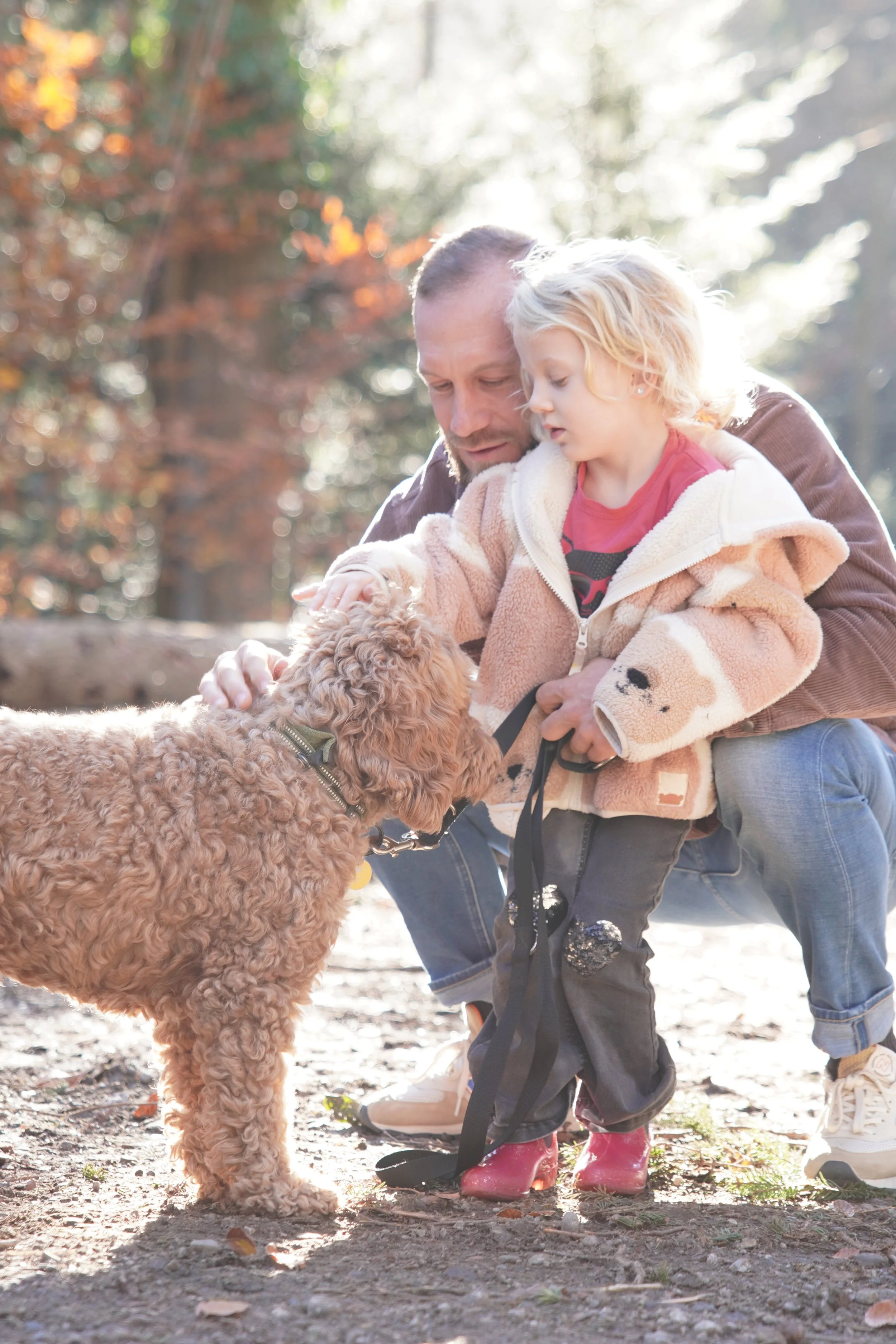 Familienkonstellation und Hundeerziehung