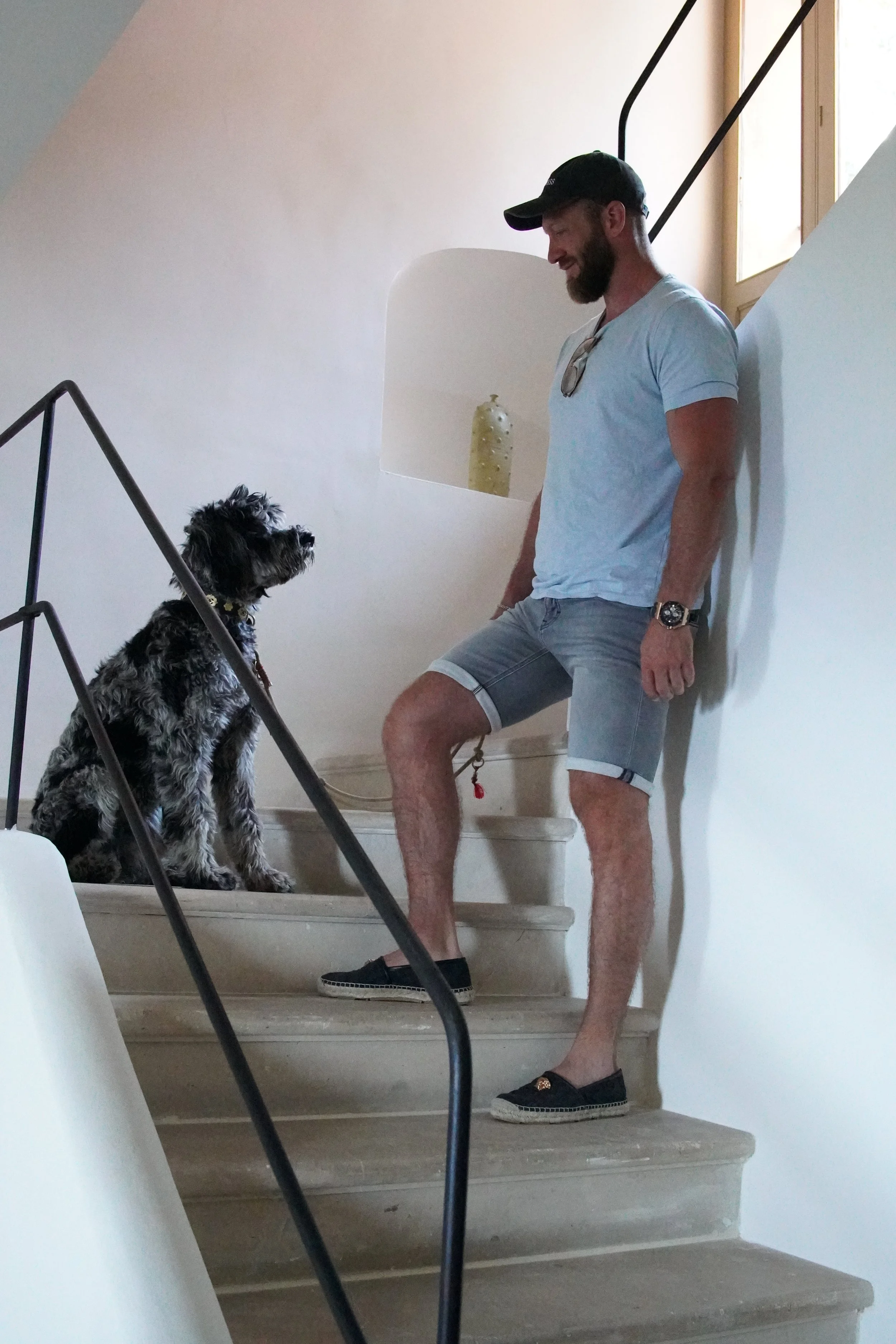 Muss ich immer zuerst durch die Türe? Darf mein Hund aufs Sofa?