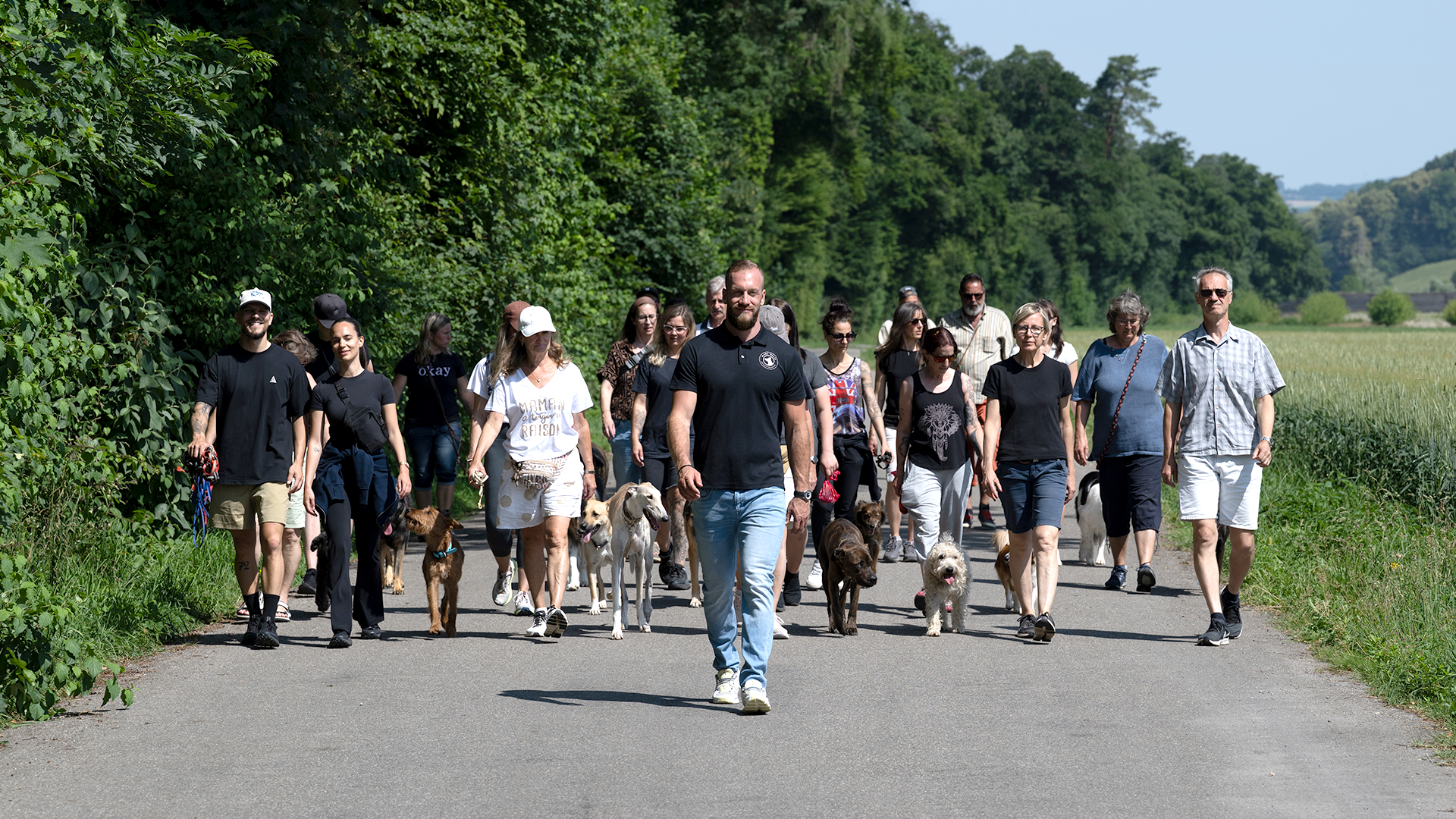 The rules of life - and what they have to do with dog training