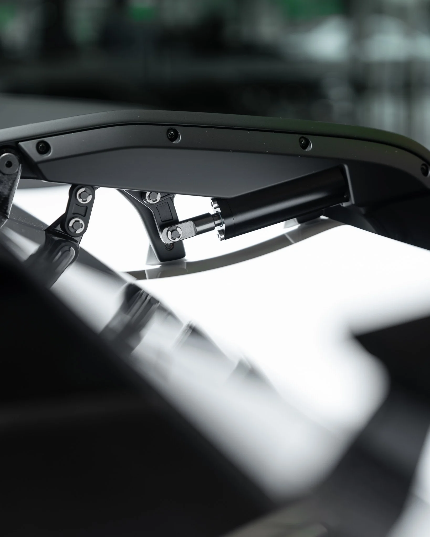 SureShot-7400023 2.JPG