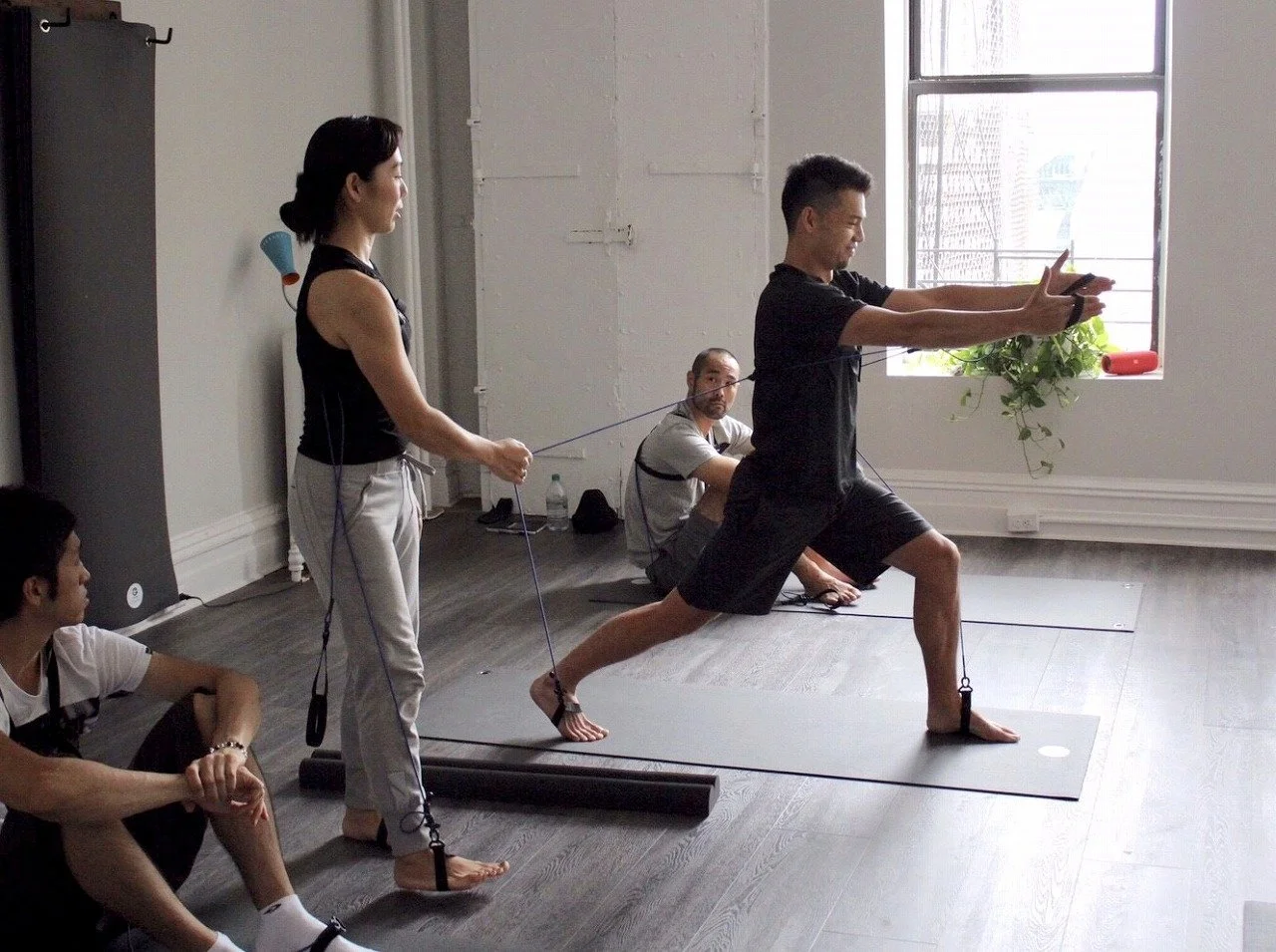 PhysicalMind Institute