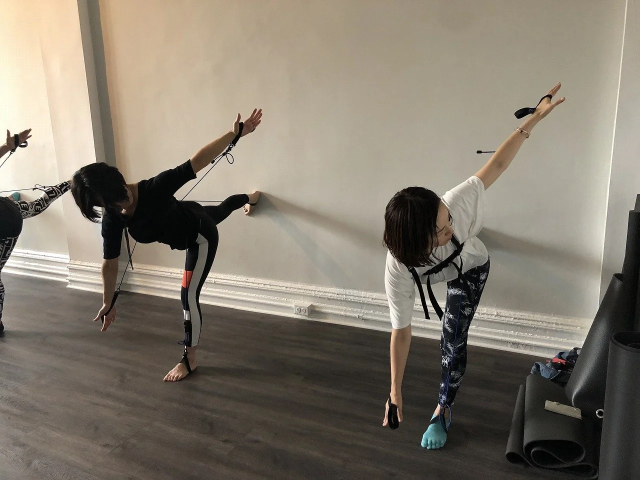 Tensegrity in Pilates and TYE4X: A Comparison of Two Movement Models ...