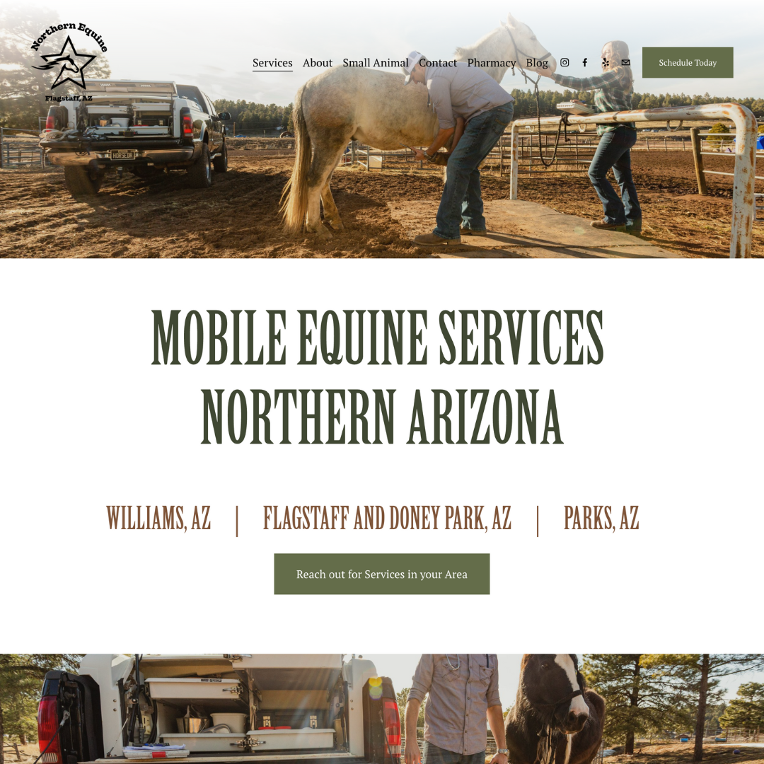 Northern Equine Mobile Vet Website Design by Downstream Creatives.png