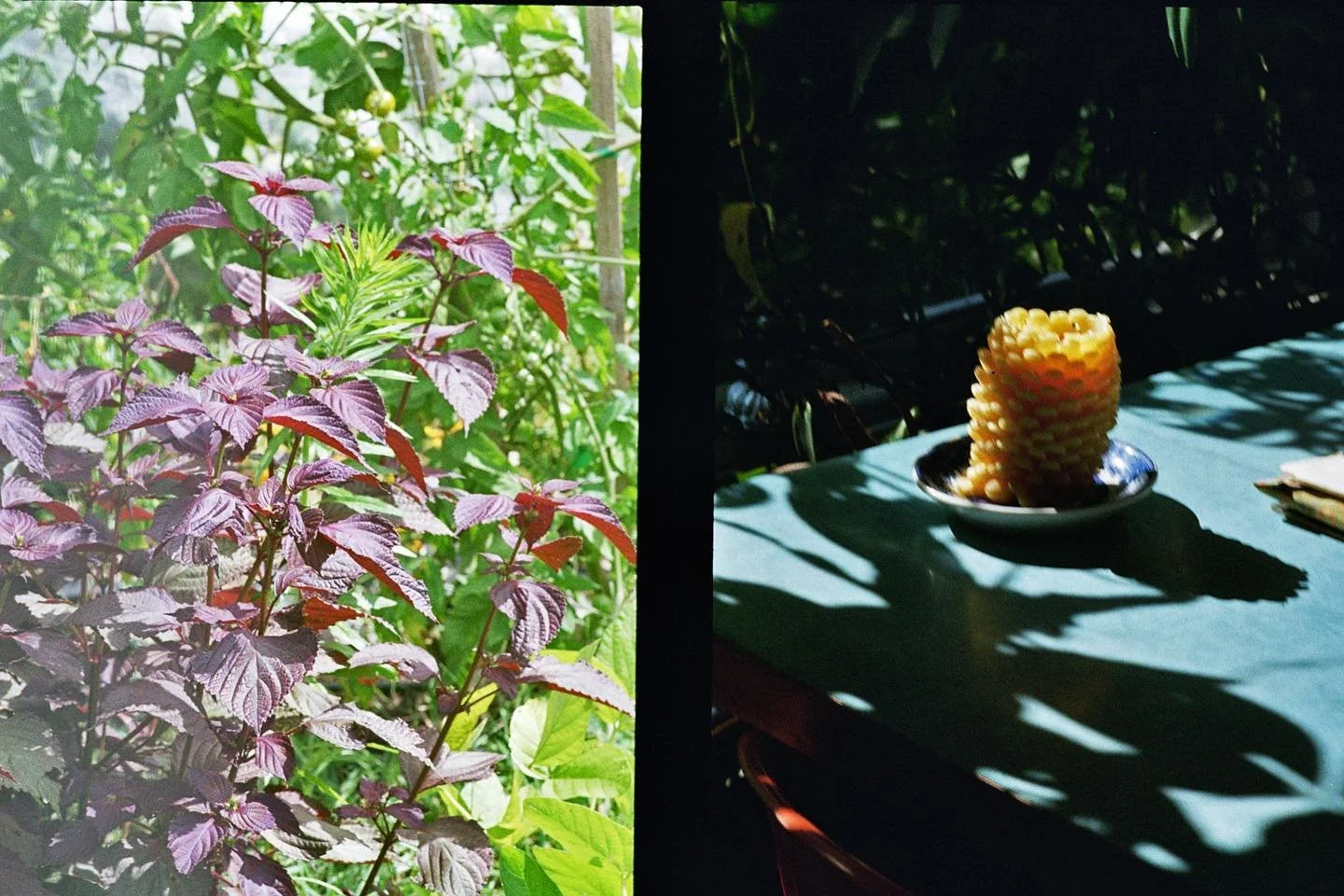 Work from home &amp; enjoy garden fresh breakfast daily ☯️