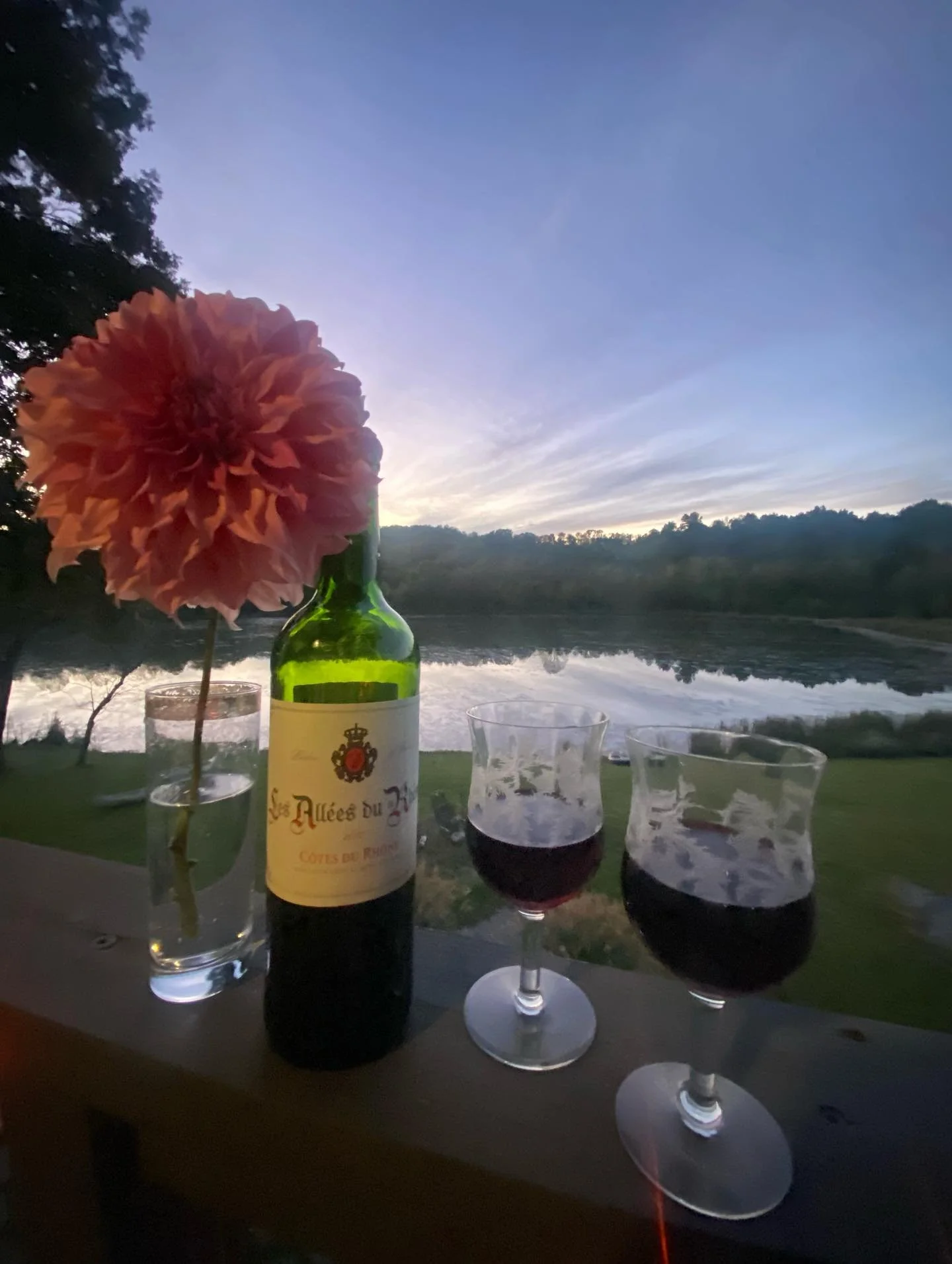 It&rsquo;s not always about dahlias&hellip;sometimes it&rsquo;s about wine and dahlias 🍷🍷