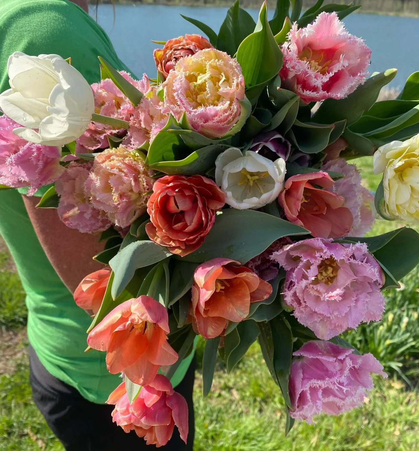 Happy April! The gorgeous tulips are done but so many more other blooms are popping and on the way.  I can&rsquo;t wait to show you what these 2800 snapdragons and 400 peonies look like blooming. 
Spring is busy here and Summer is on the horizon. We&