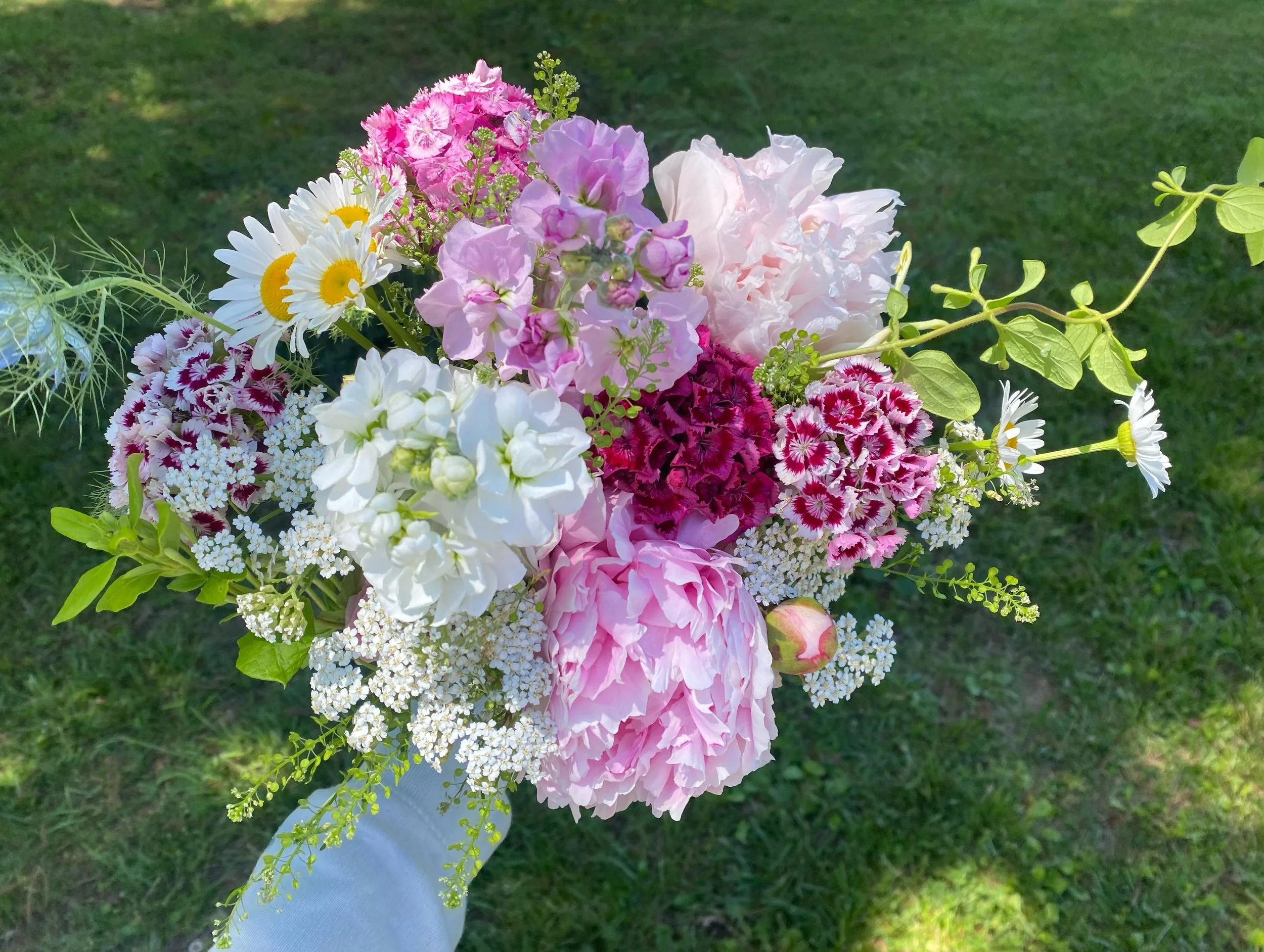 Exciting announcement to all our local flower lovers!
We&rsquo;ve been keeping a secret under the flower pot, so to speak. Over the last 12 months, we have quietly been working on some exciting flower news.  We&rsquo;re honored and grateful that Litt