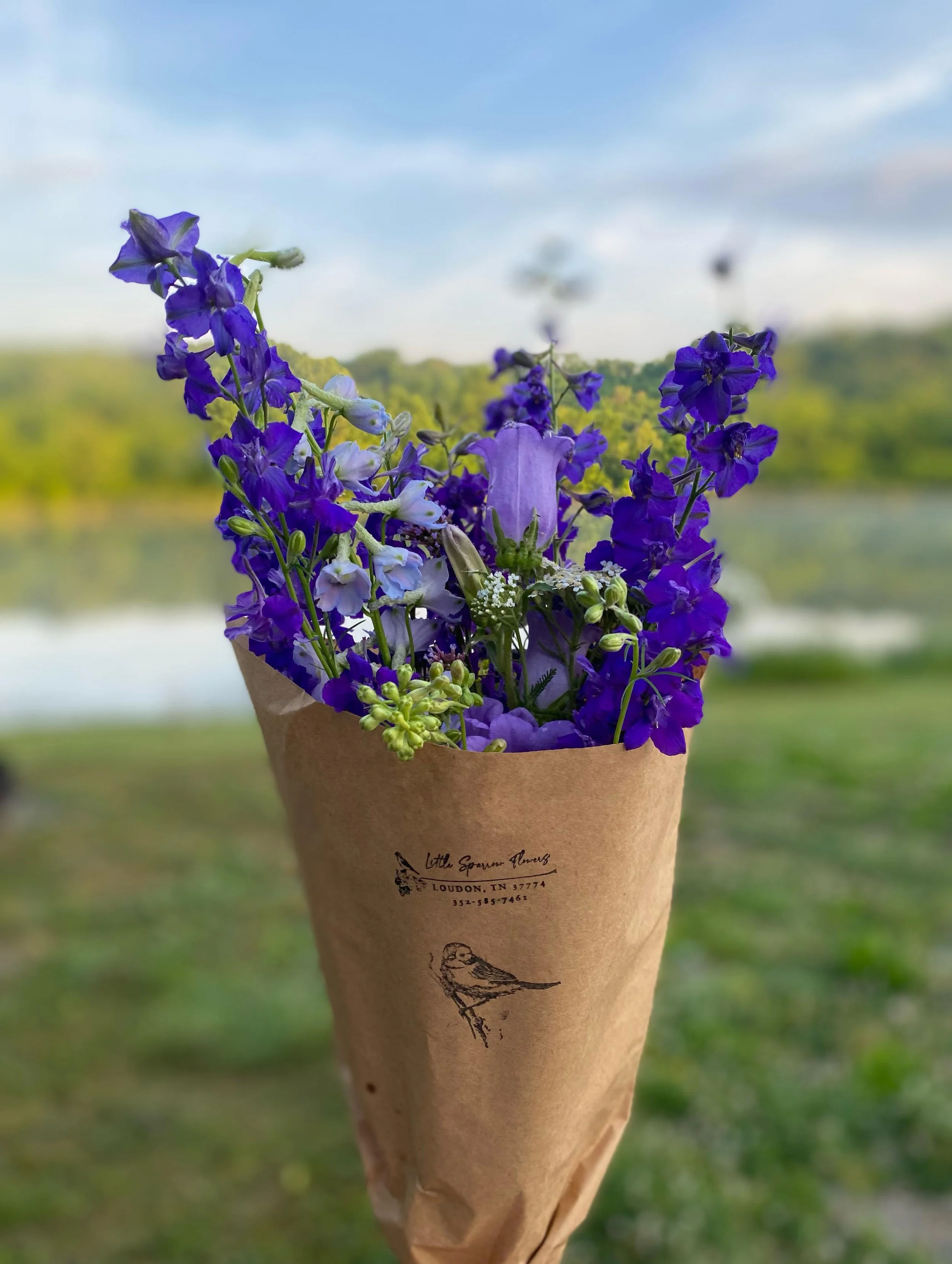 If you&rsquo;re feeling the blues today get yourself a bouquet!
Just a peak at dozens and dozens of our gorgeous, mostly blue bouquets heading to @wholefoods market in Knoxville this morning.  #getthemwhiletheylast #localblooms #loudongrown #everyone