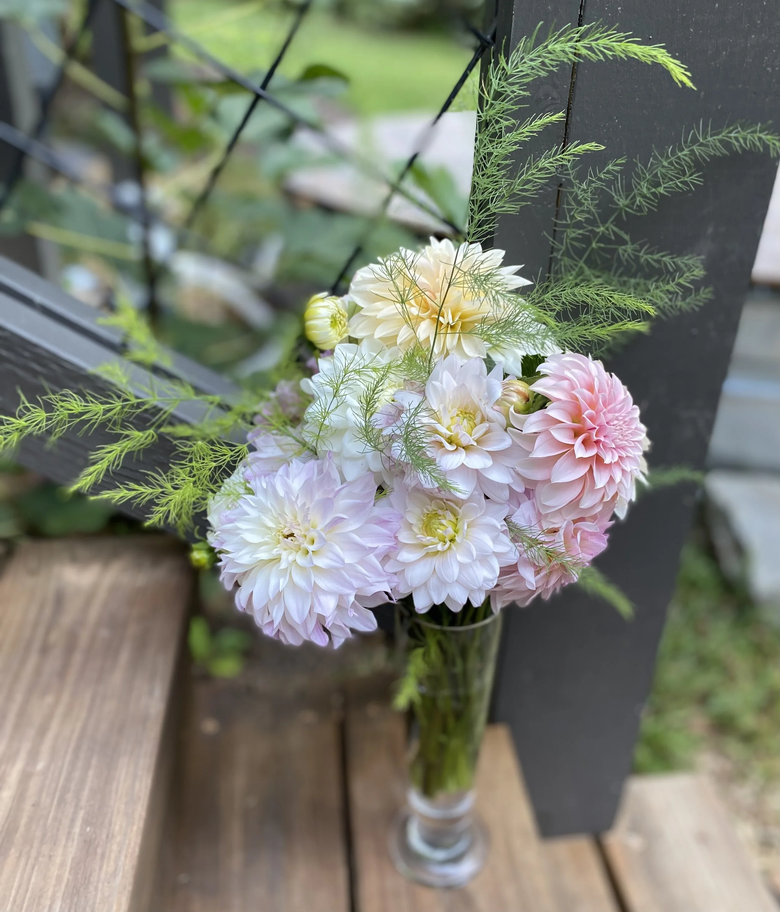 A glass vase with pink, white, and cream-colored dahlias and green foliage, placed on a wooden surface outdoors.