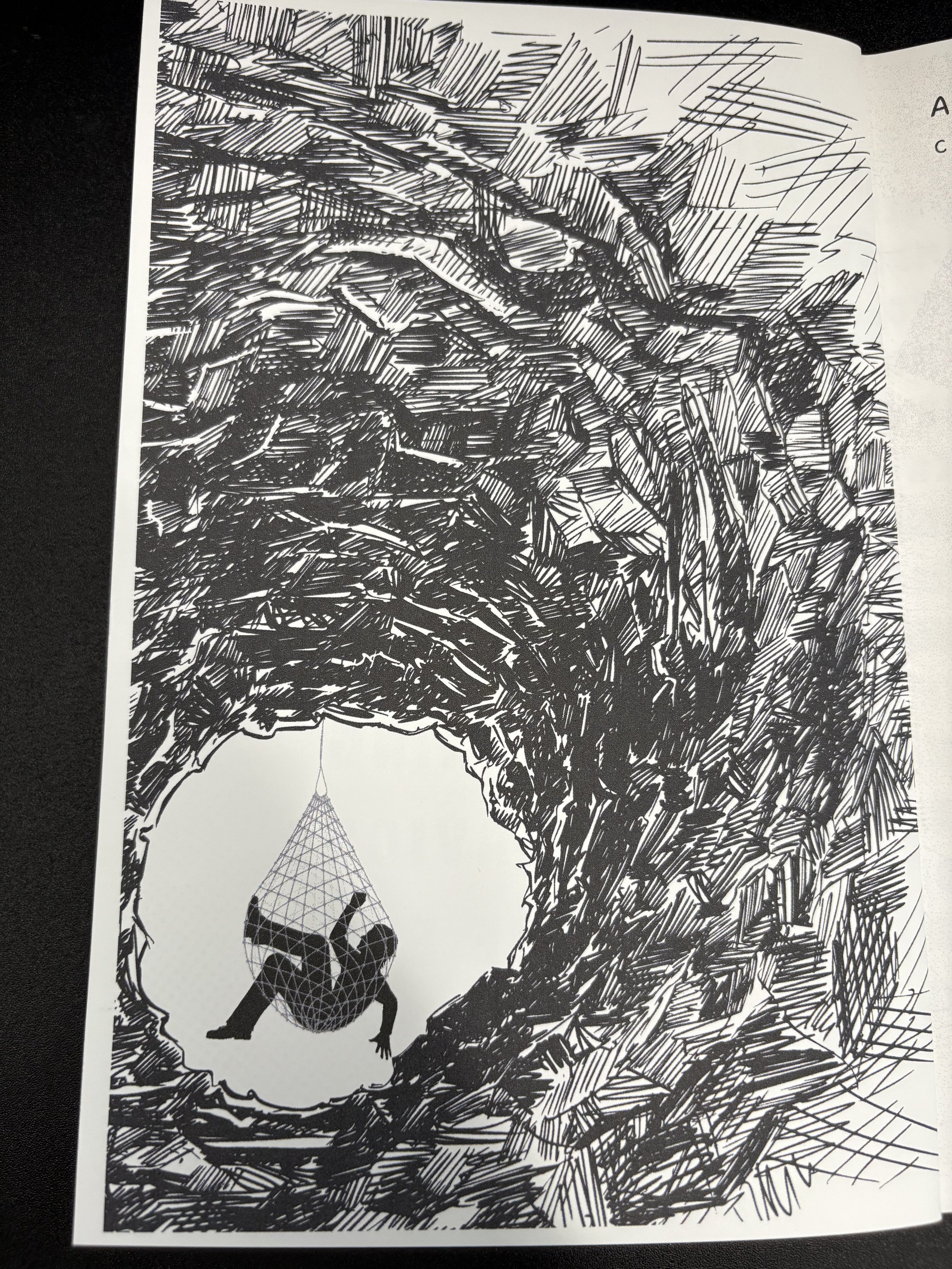 Photo Jun 30 2025, 5 12 39 PM.jpg