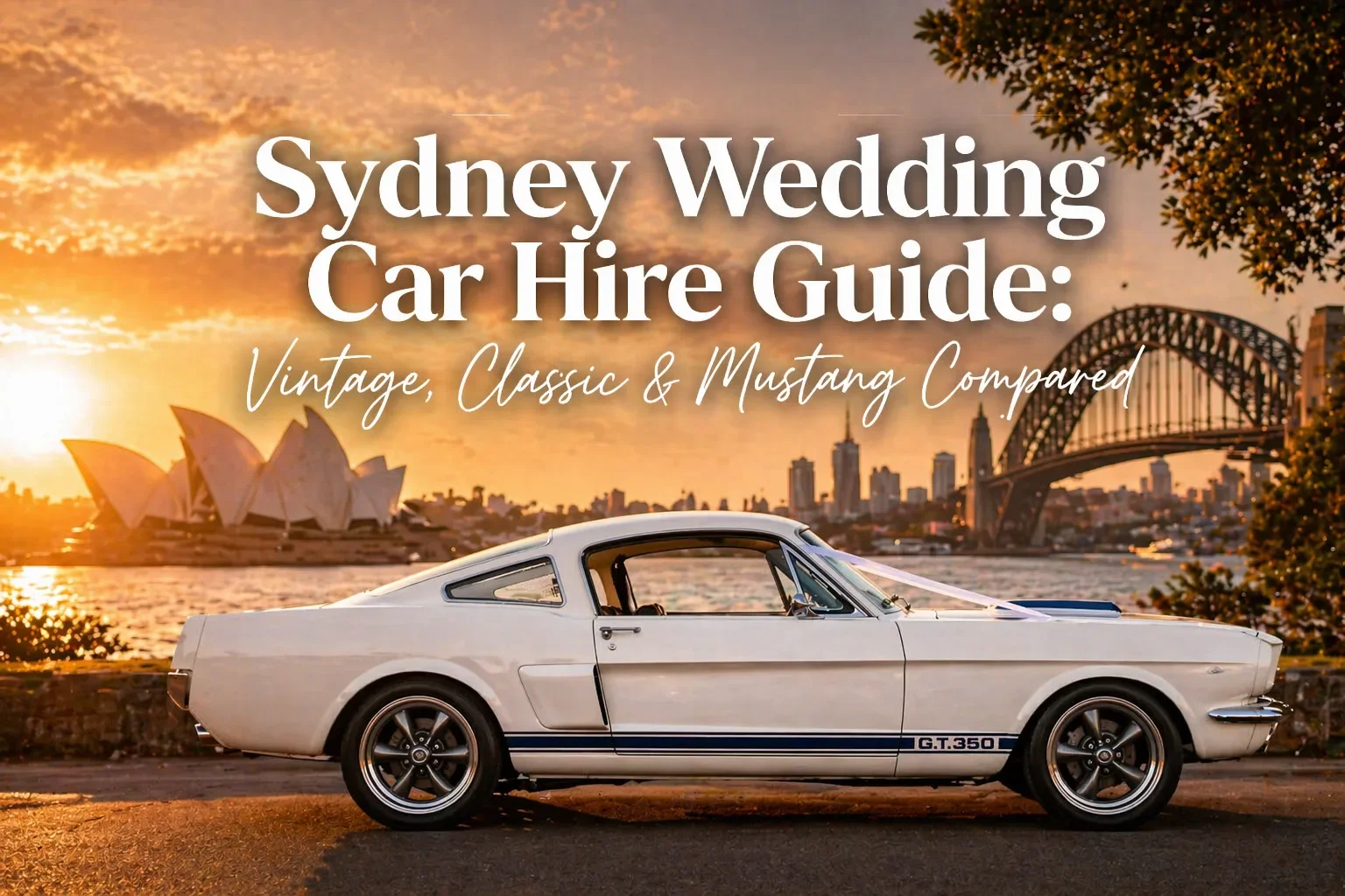 Sydney Wedding Car Hire Guide: Vintage, Classic &amp; Mustang Options Compared