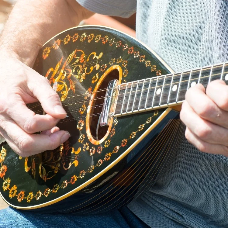 Live bouzouki player Sydney